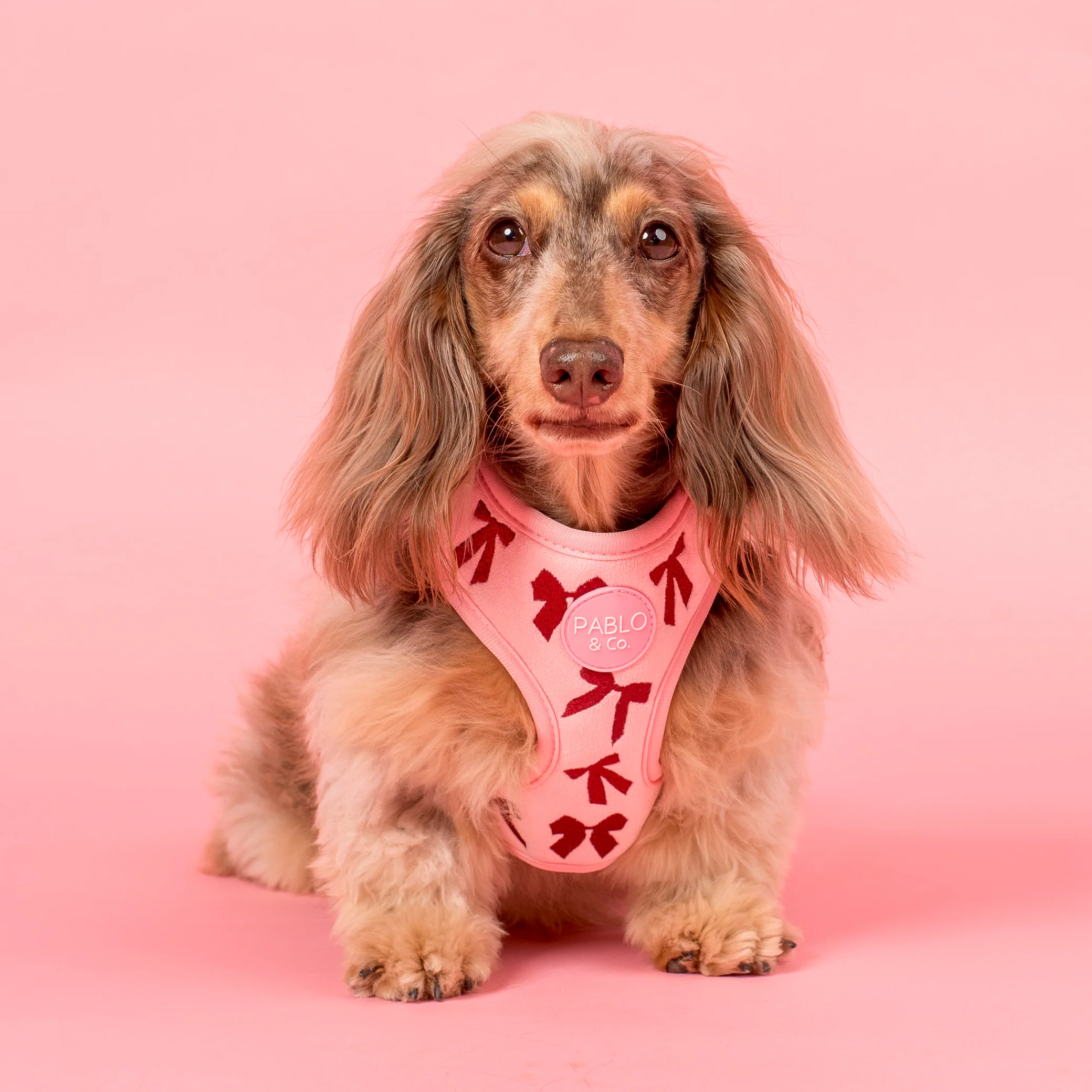Velvet Blush Bows: Adjustable Harness - Image 3