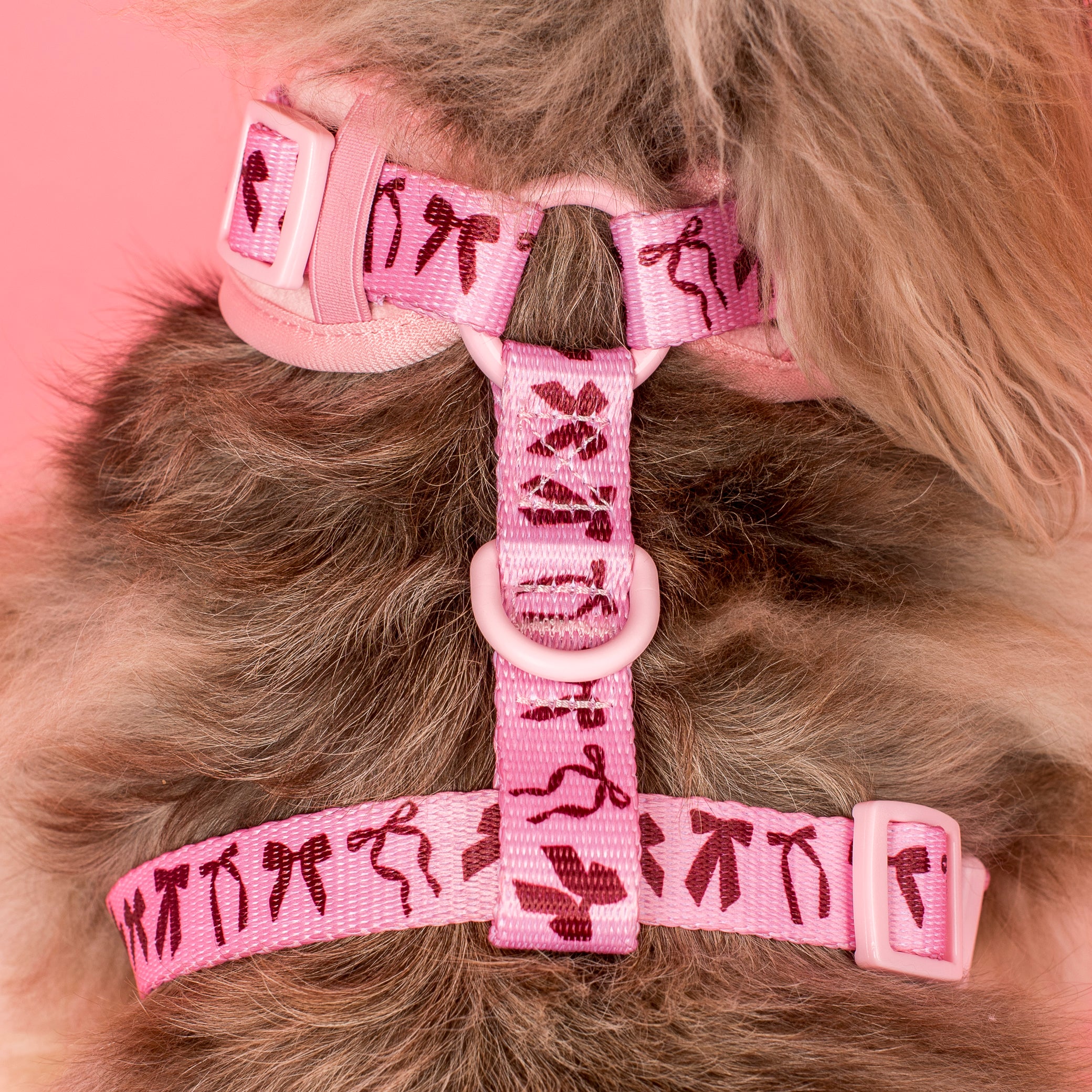 Velvet Blush Bows: Adjustable Harness - Image 4