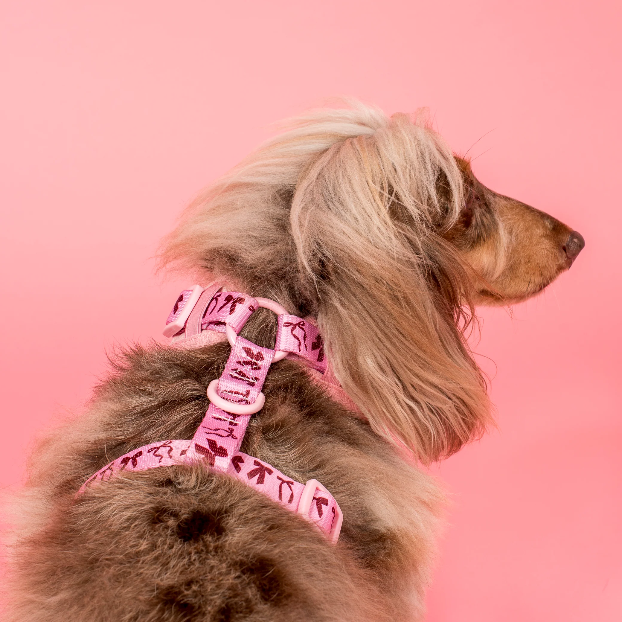 Velvet Blush Bows: Adjustable Harness - Image 6