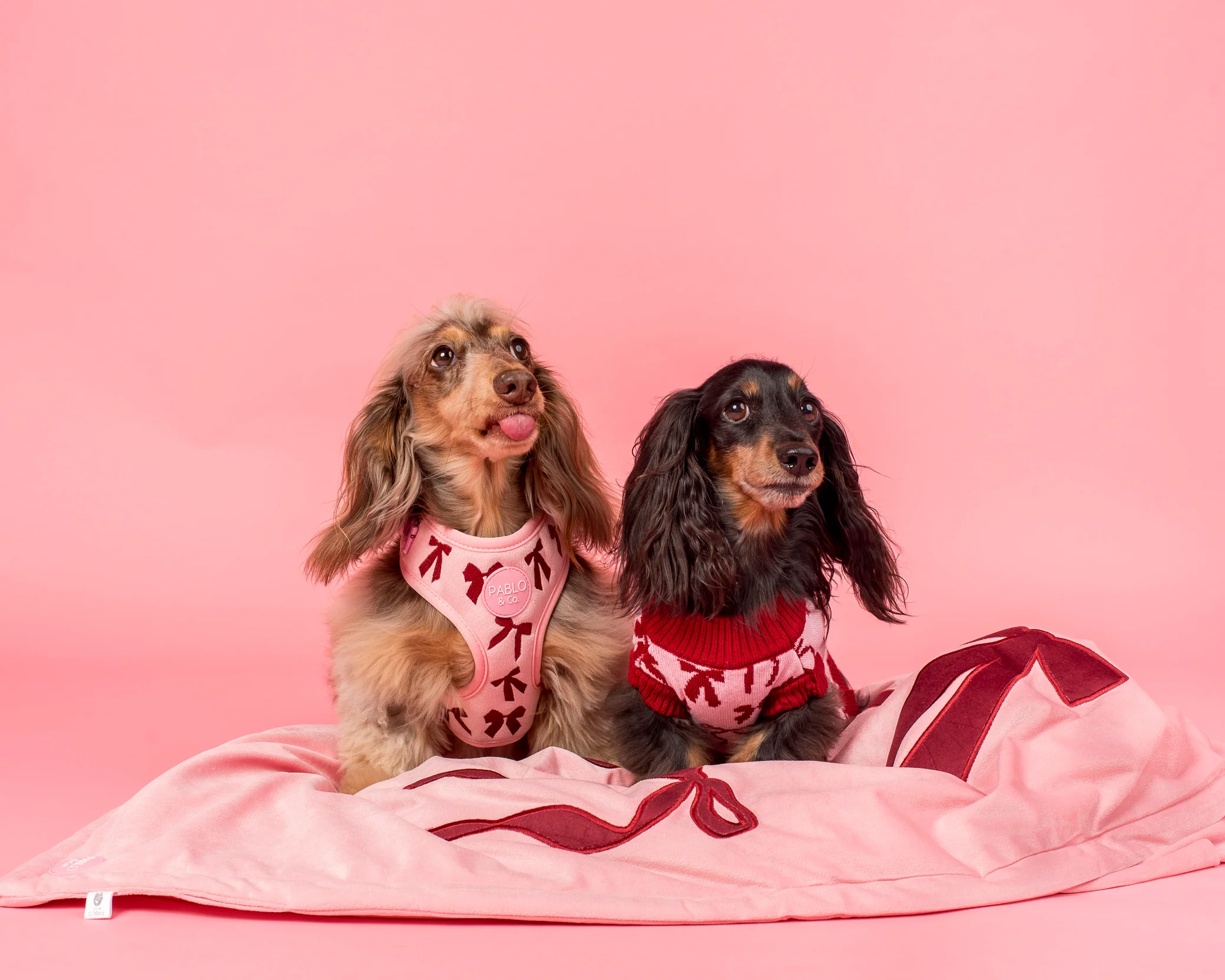 Velvet Blush Bows: Adjustable Harness - Image 7
