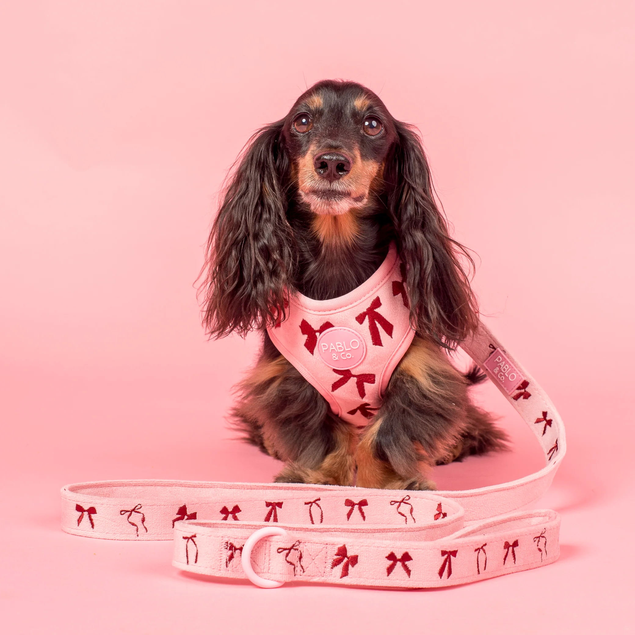 Velvet Blush Bows: Adjustable Harness - Image 8