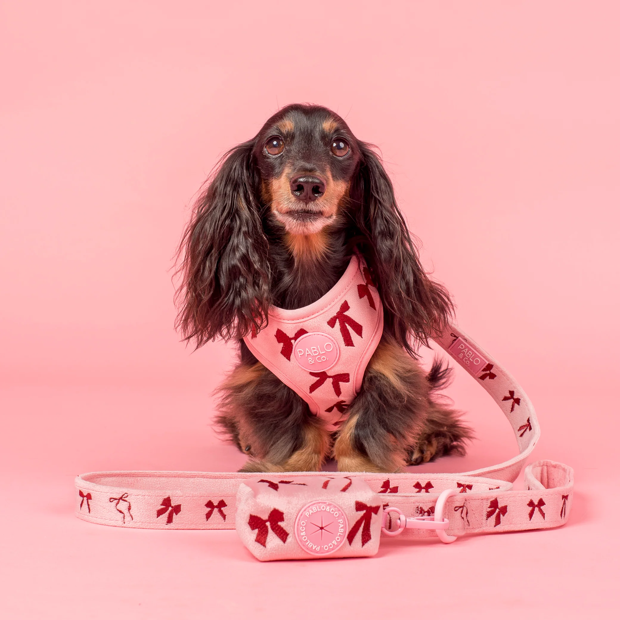 Velvet Blush Bows: Adjustable Harness - Image 9
