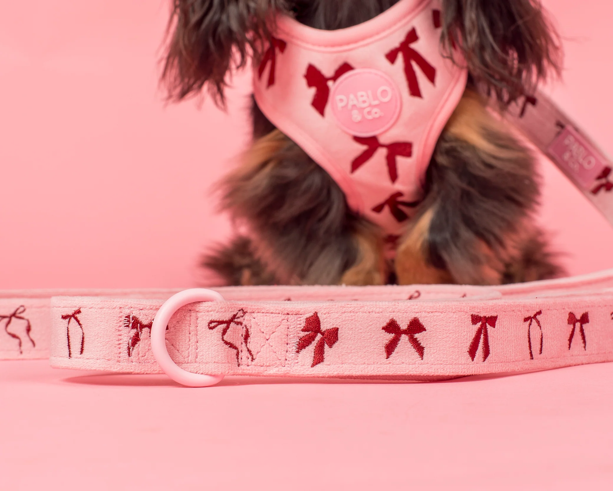 Velvet Blush Bows: Dog Leash - Image 2