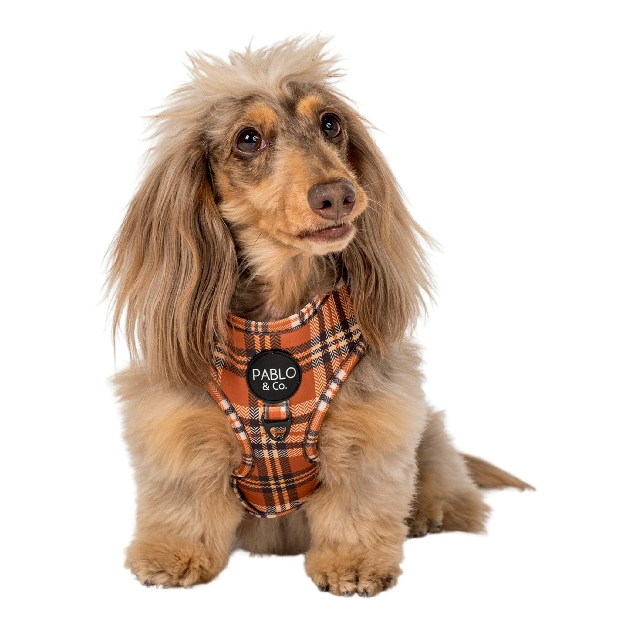 Vintage Plaid: Adjustable Harness - Image 5