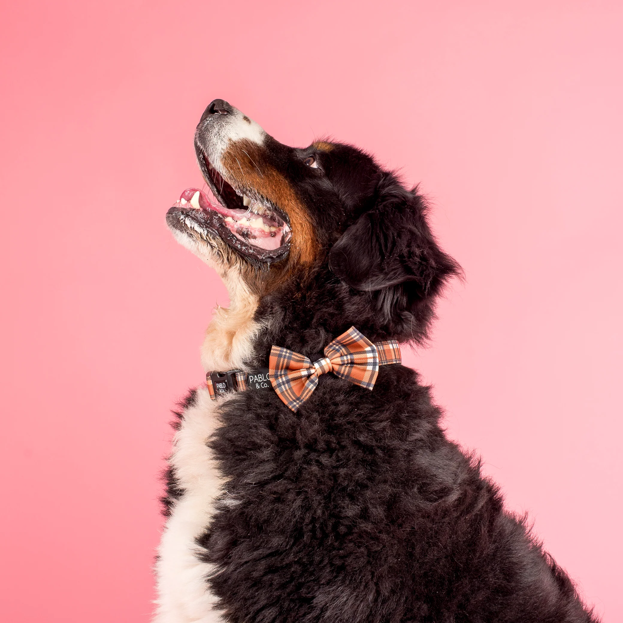 Vintage Plaid: Bow Tie - Image 2