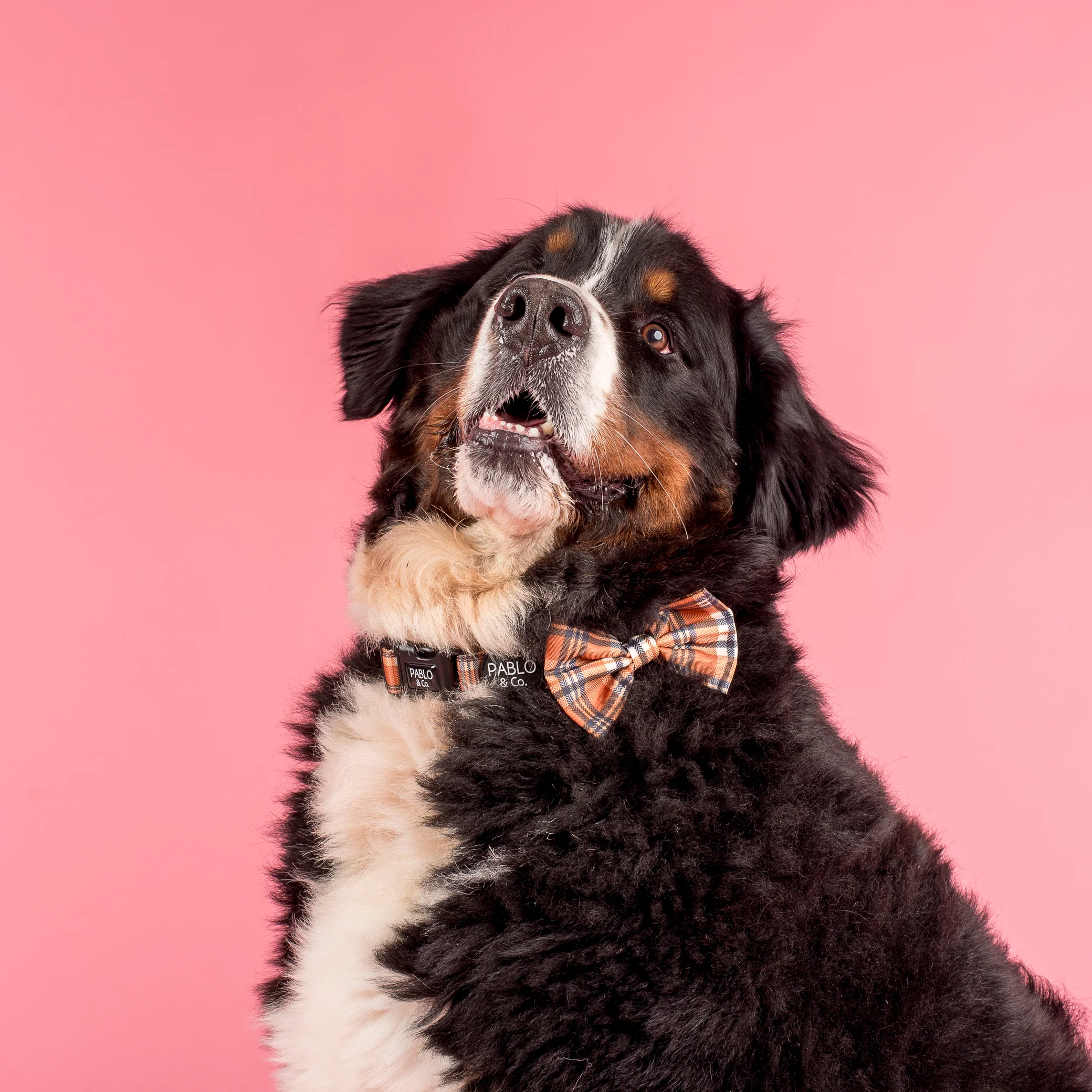 Vintage Plaid: Bow Tie - Image 3