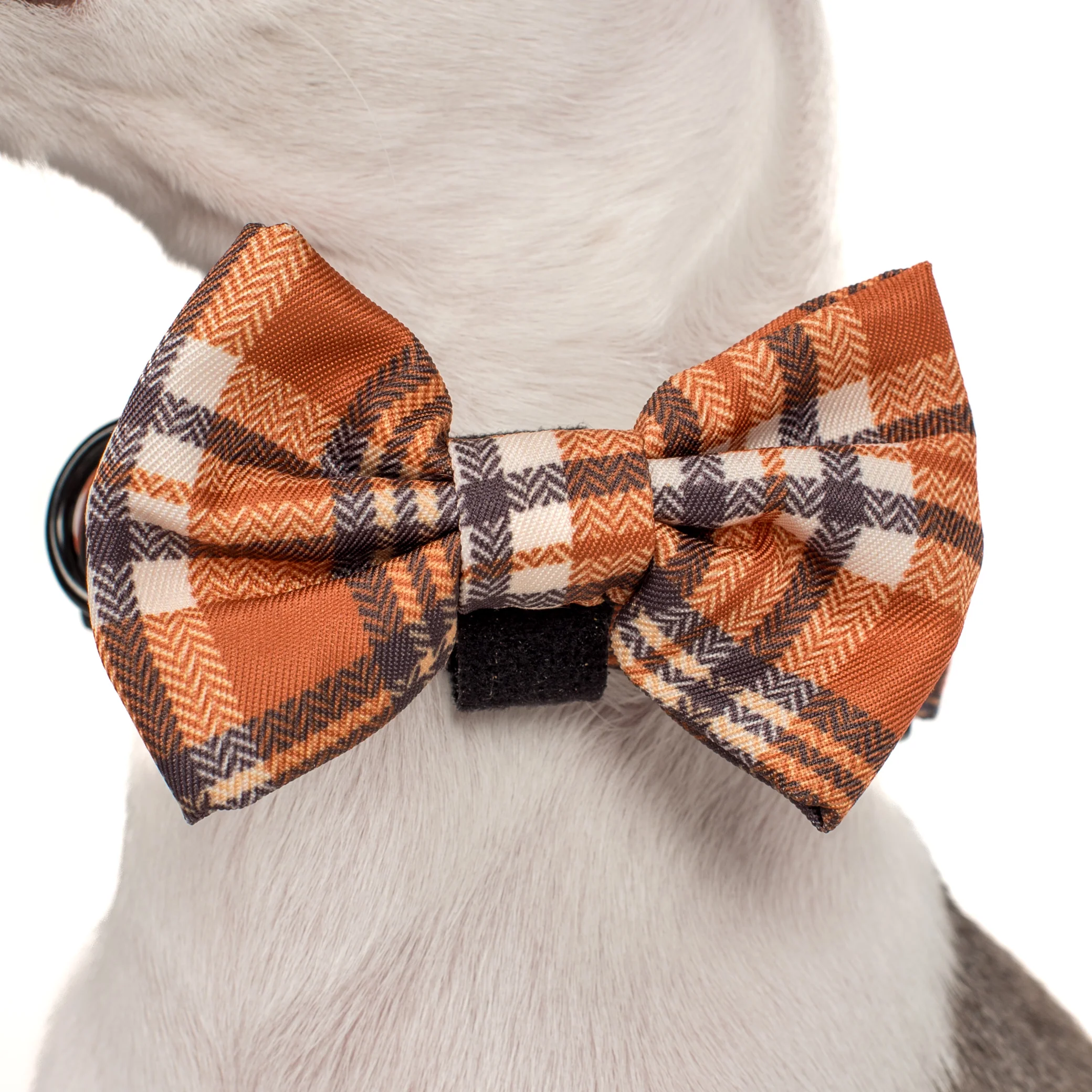 Vintage Plaid: Bow Tie - Image 5