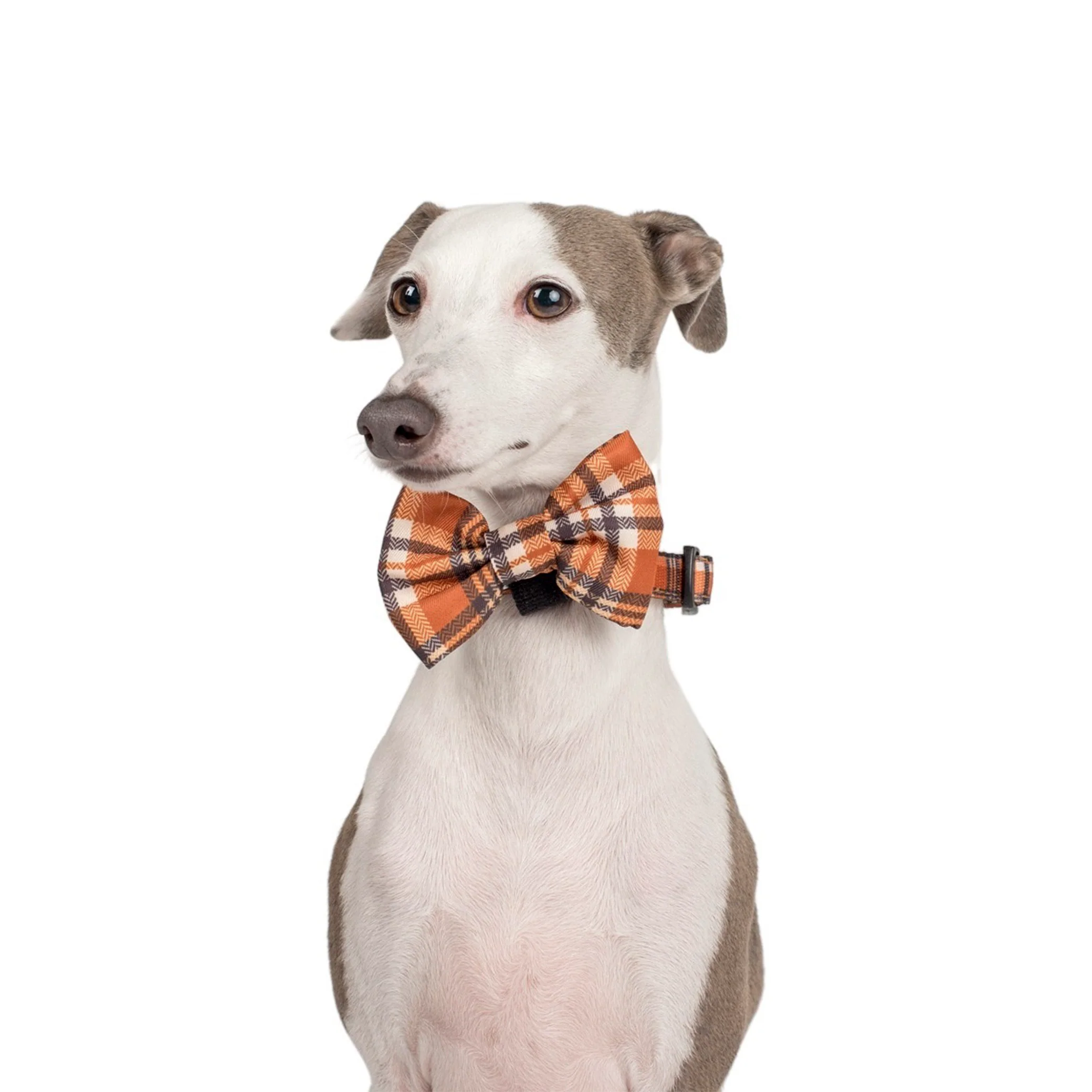 Vintage Plaid: Bow Tie - Image 6