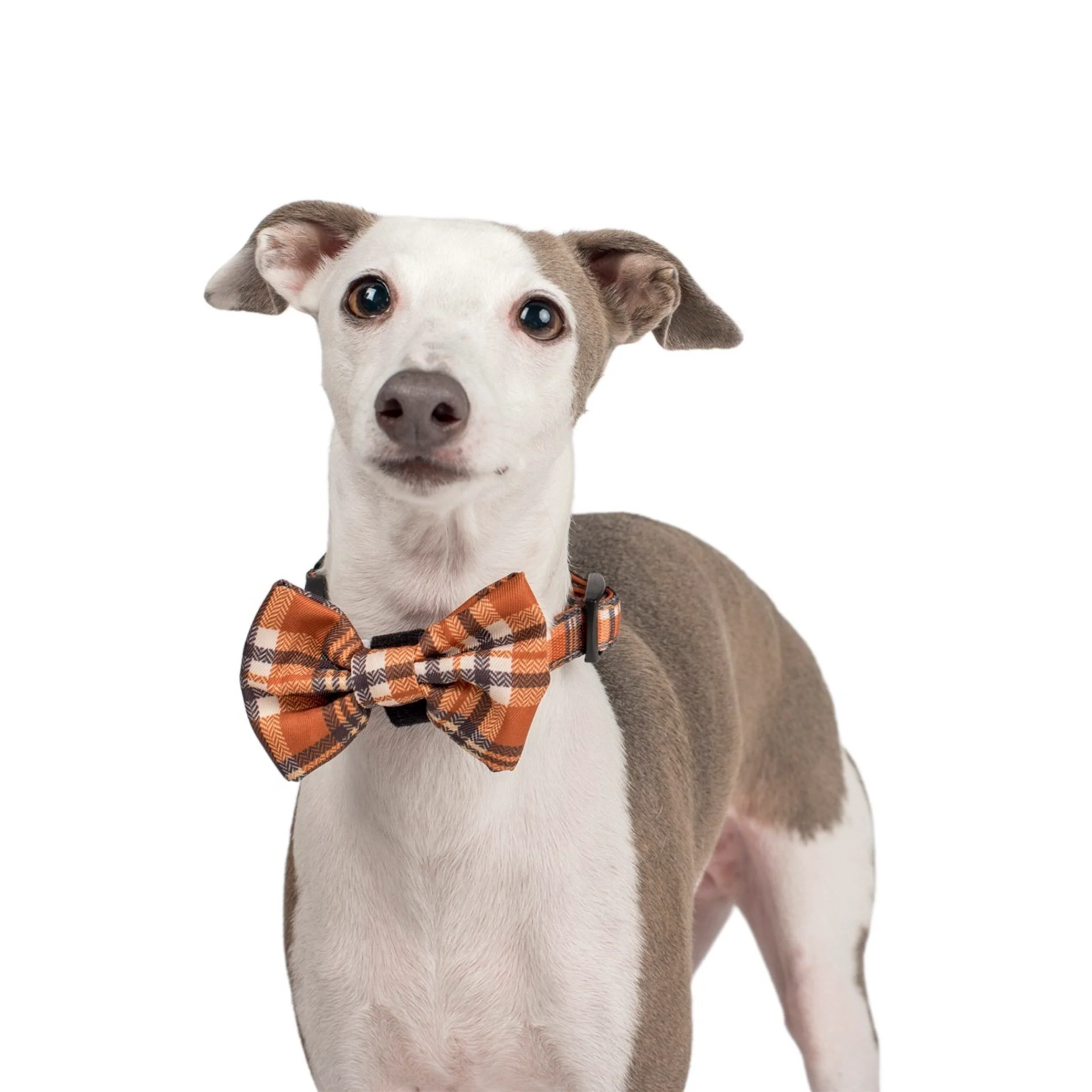 Vintage Plaid: Bow Tie - Image 8