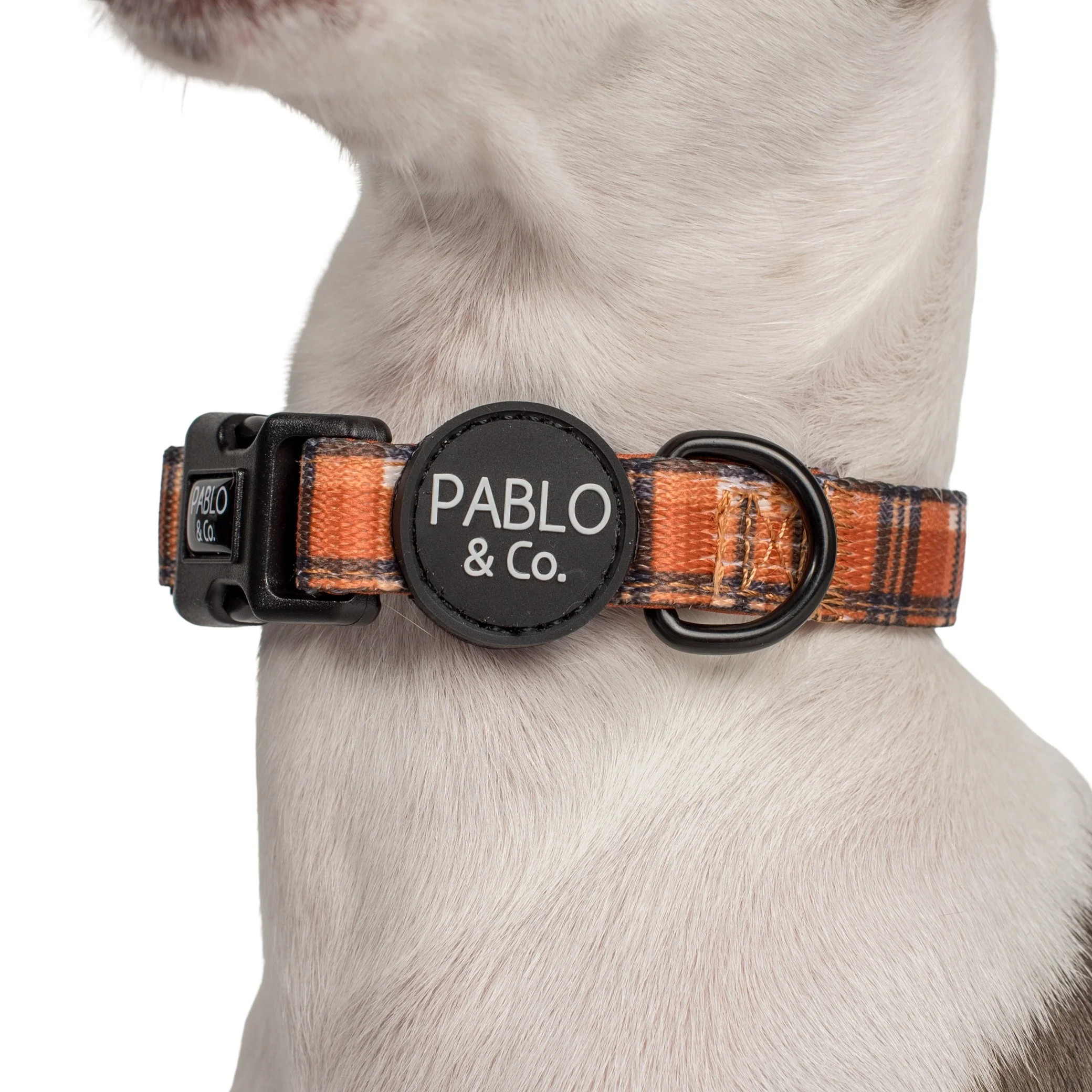 Vintage Plaid: Collar - Image 2