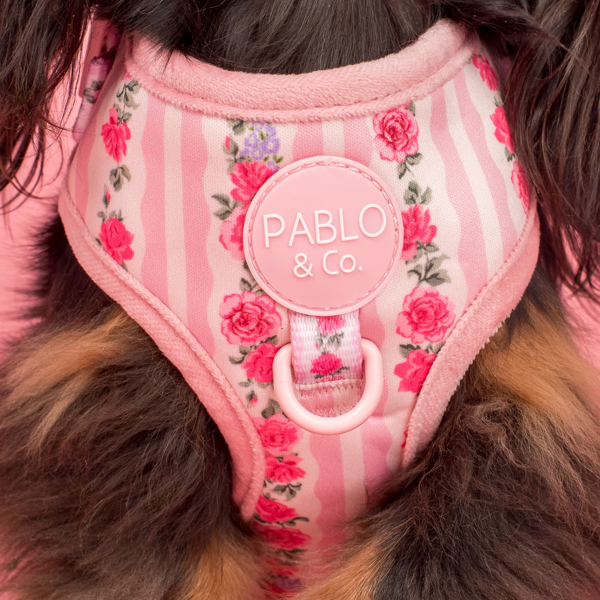 Vintage Rose: Adjustable Harness - Image 2