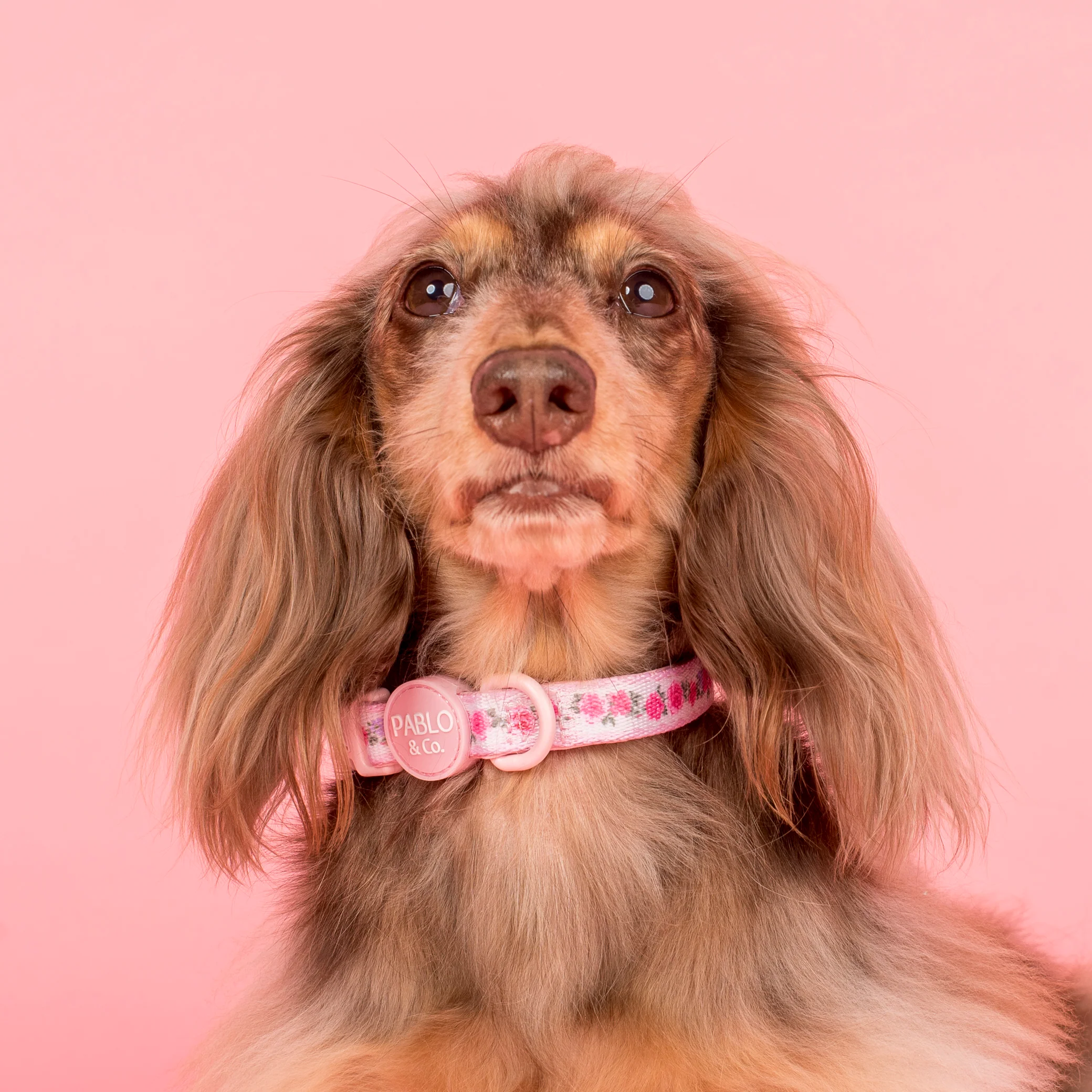 Vintage Rose: Collar