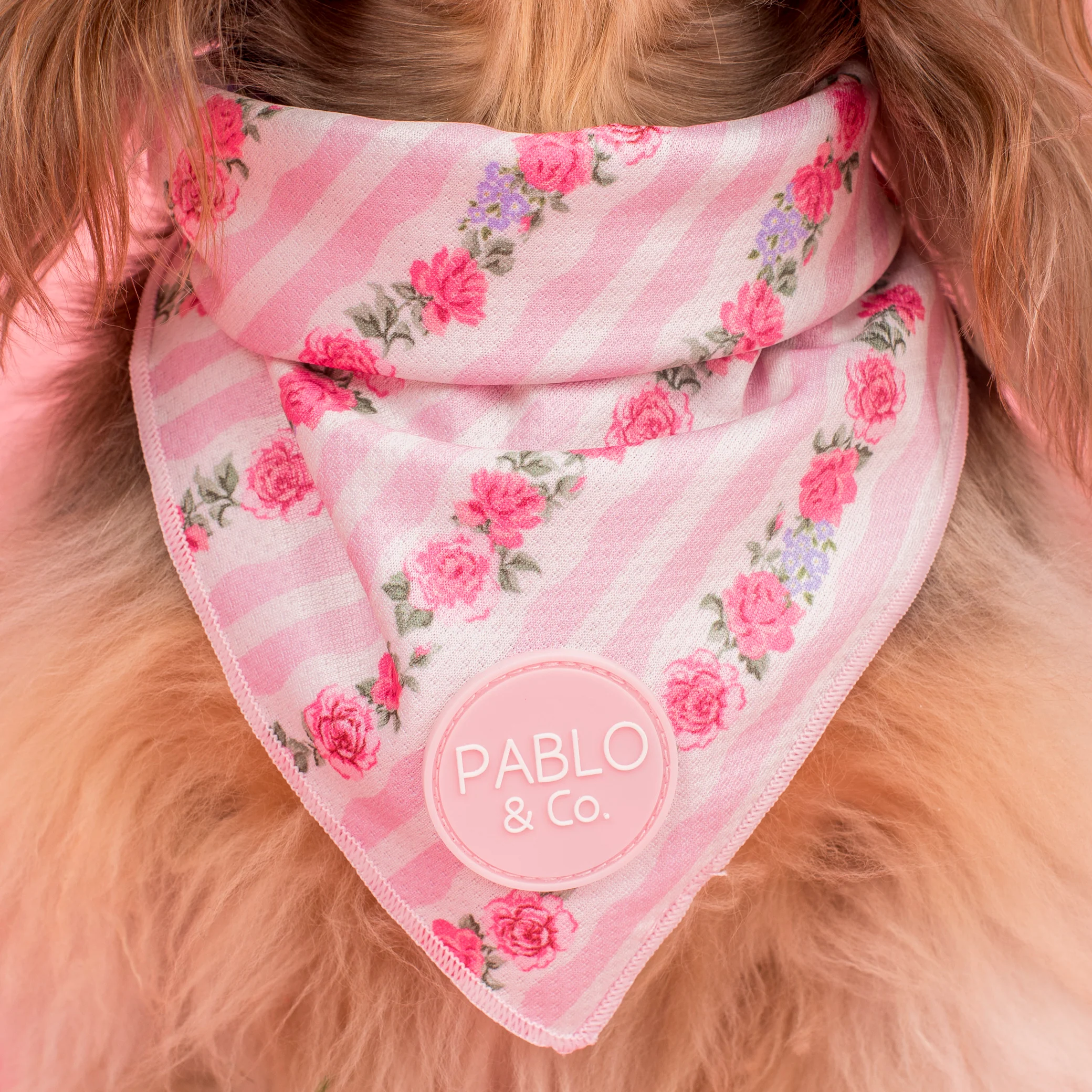 Vintage Rose: Dog Bandana - Image 2