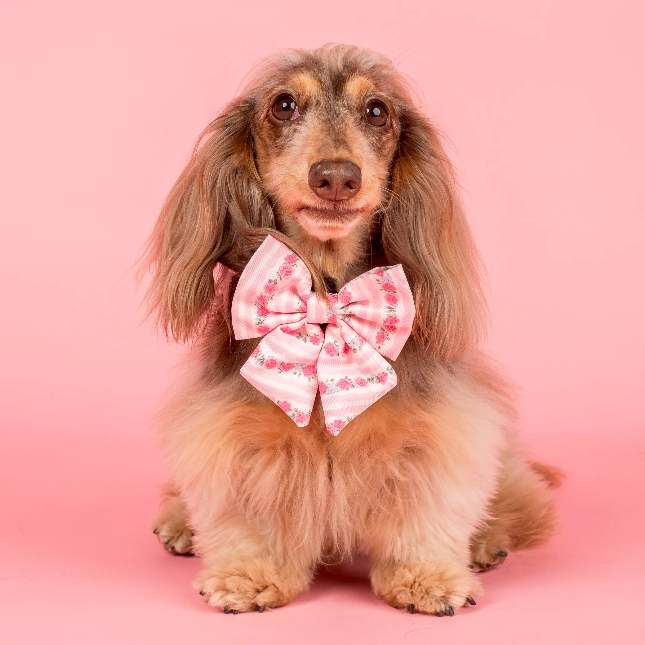 Vintage Rose: Sailor Bow - Image 4
