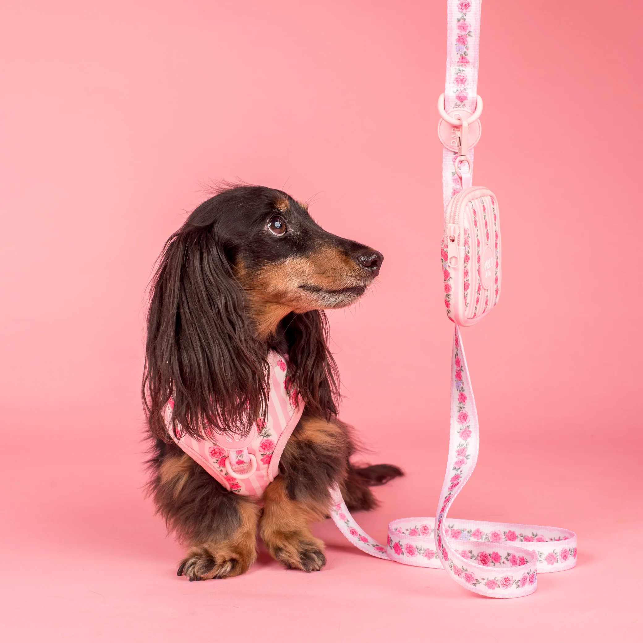 Vintage Rose: Treat Pouch - Image 2