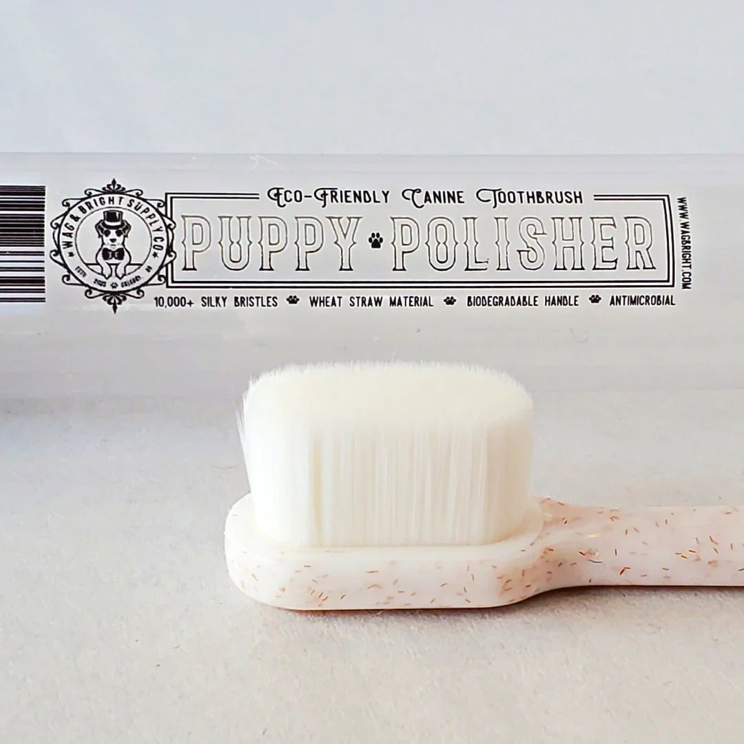 Wag & Bright: Puppy Polisher Biodegradable Toothbrush - Image 3