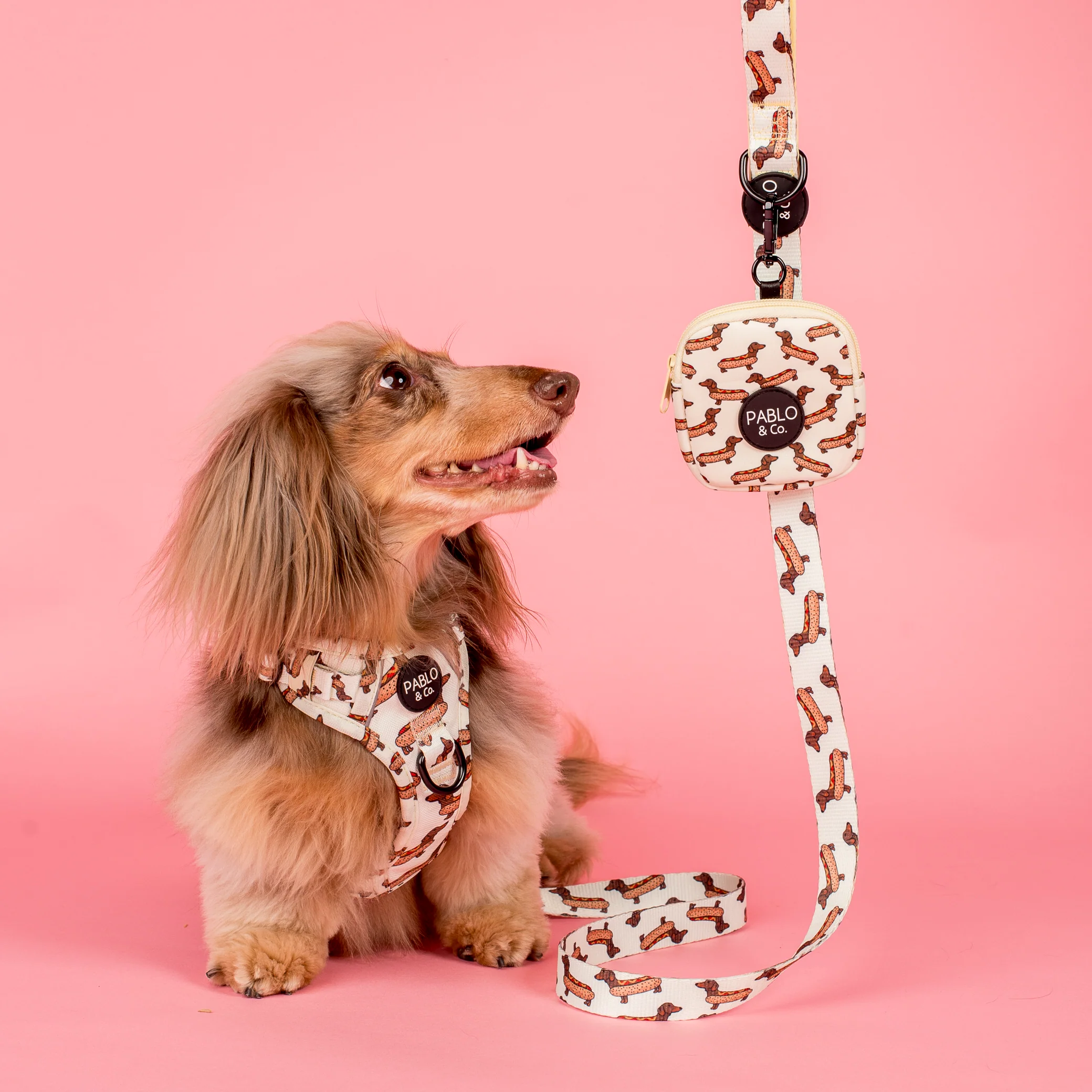 Wiener Dogs: Dog Leash - Image 3
