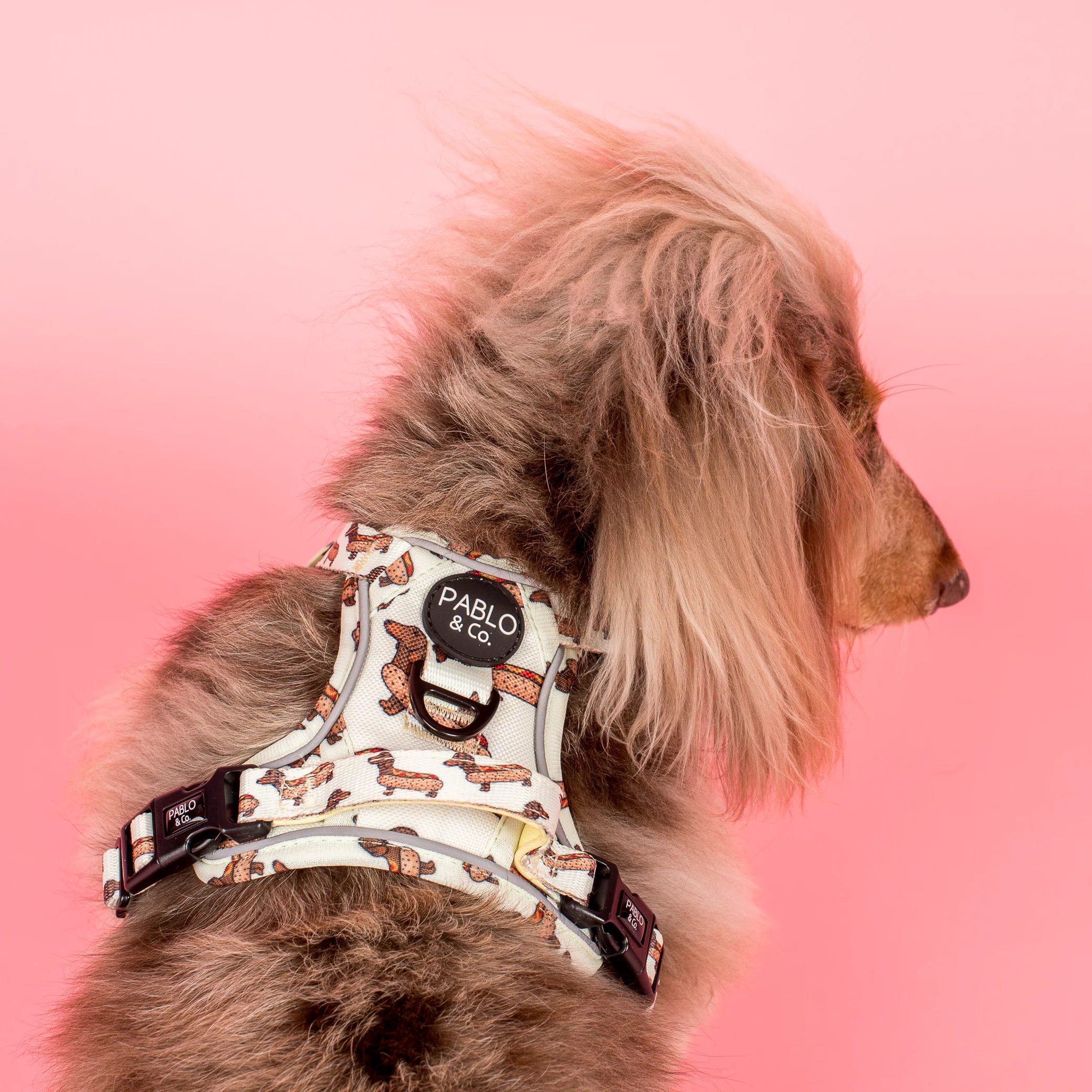 Wiener Dogs: No Pull Adventure Harness - Image 3