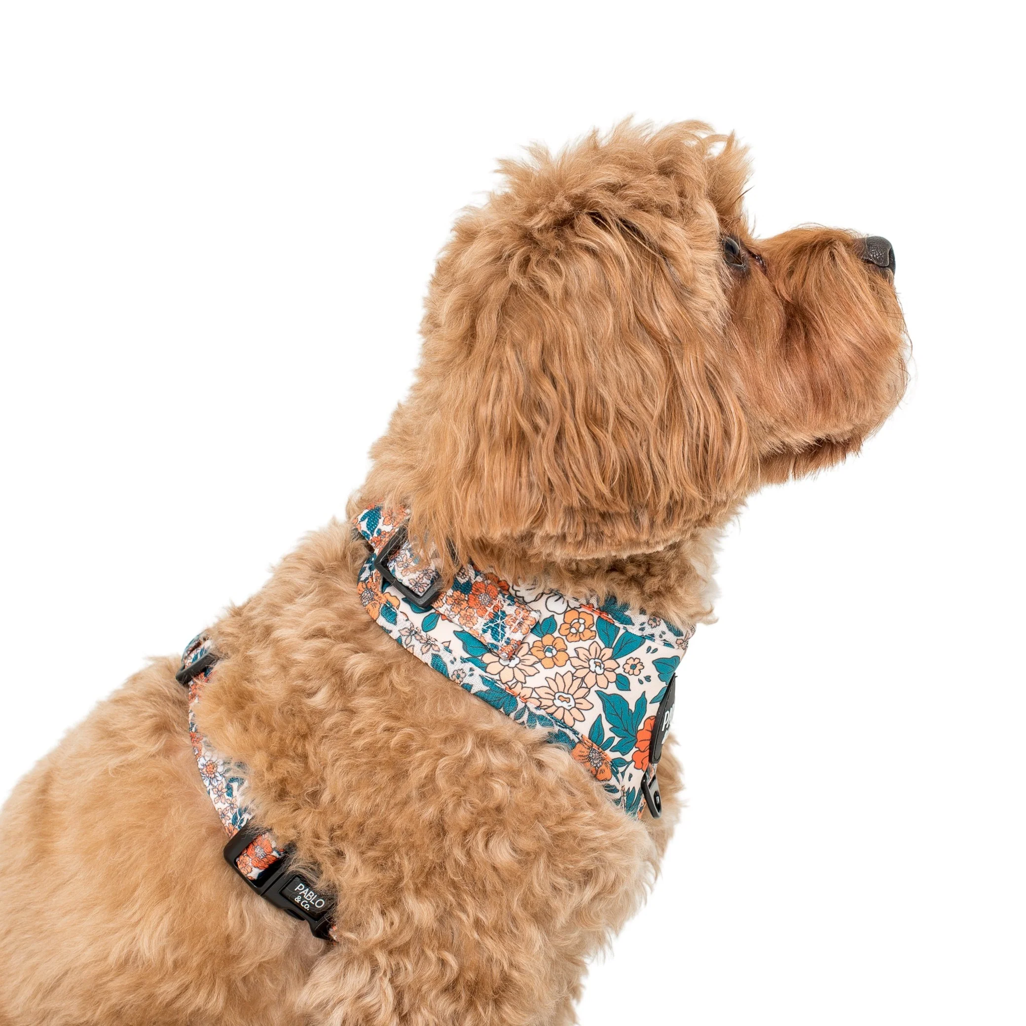 Wildflowers: Adjustable Harness - Image 3