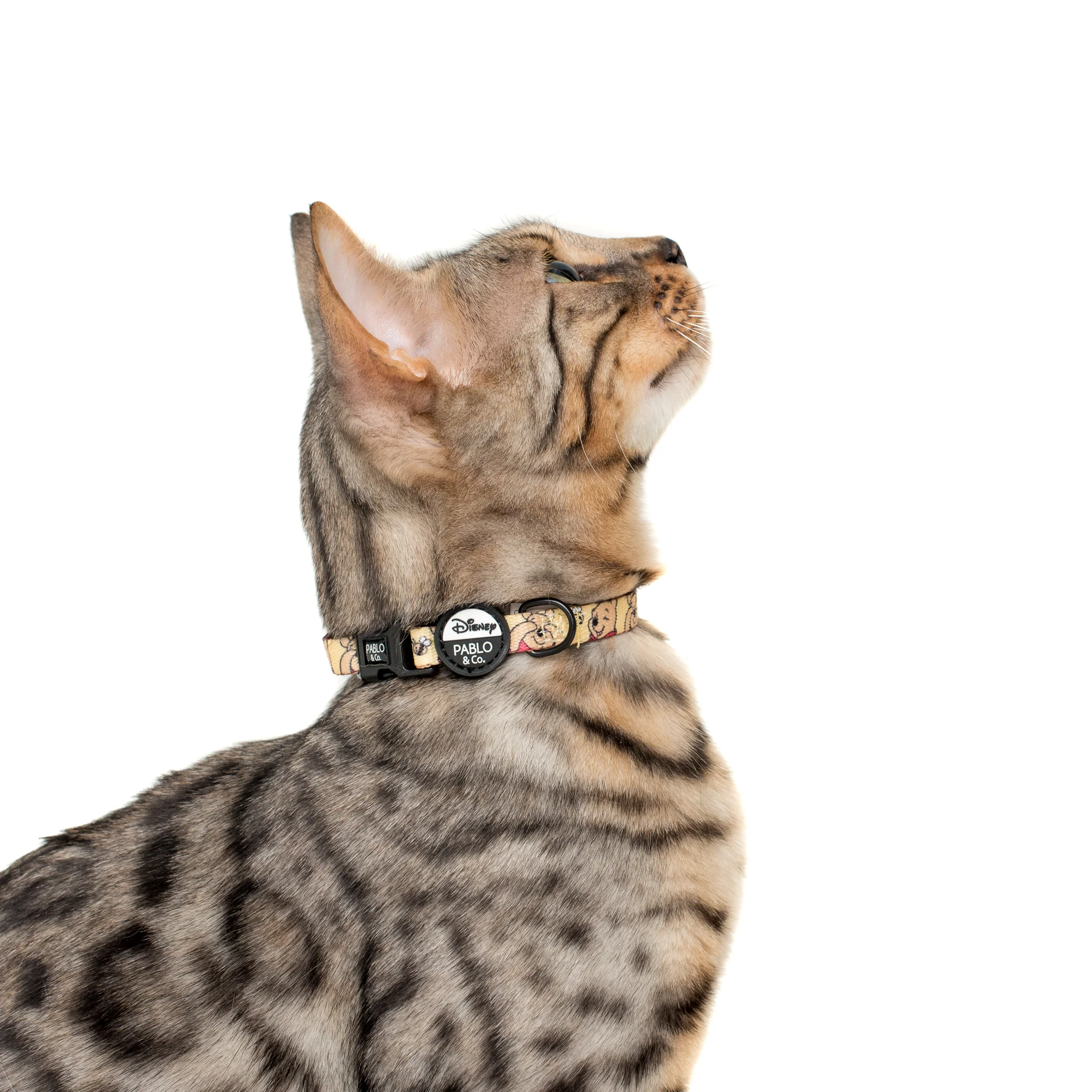 Winnie the Pooh & Bee's: Cat Collar - Image 4