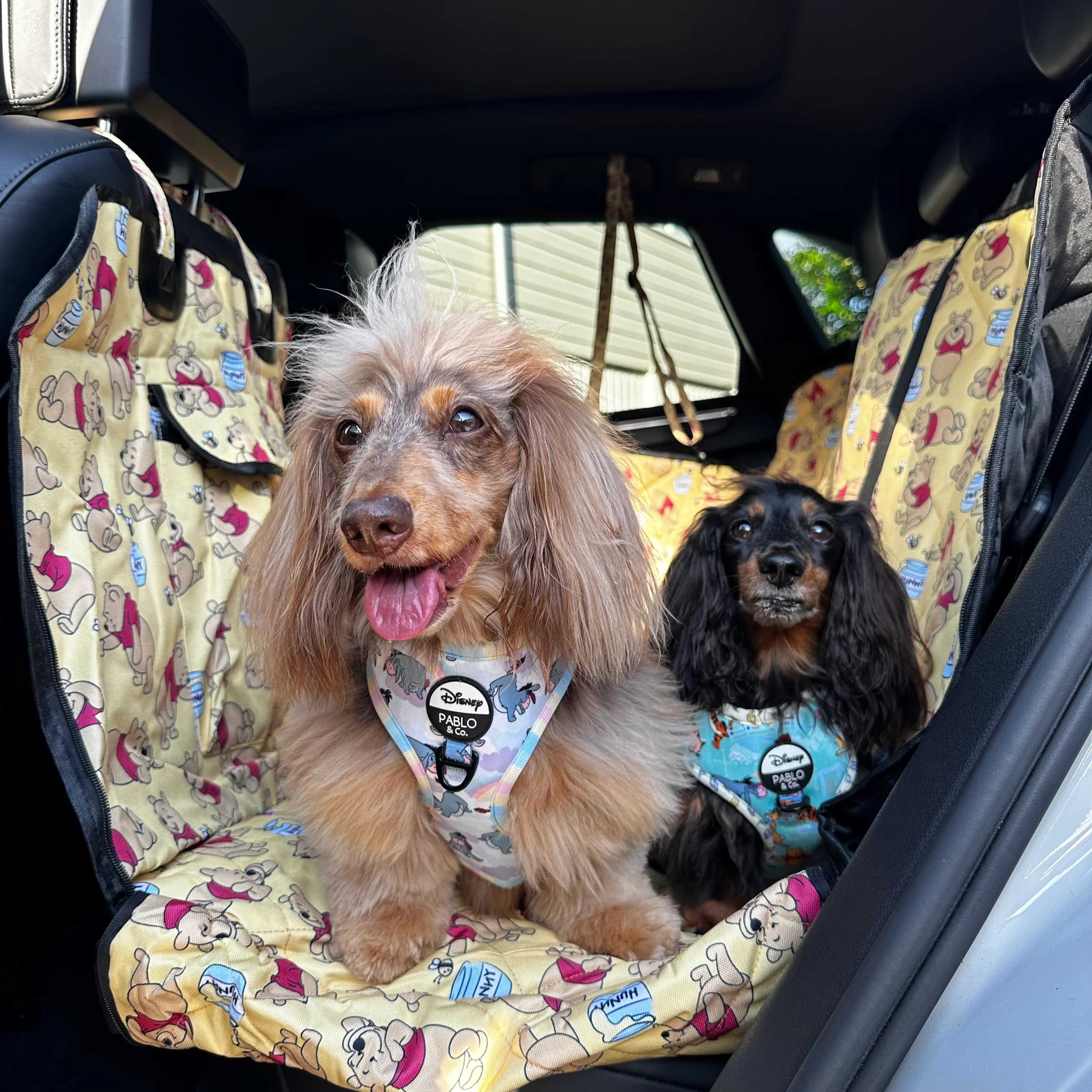 Winnie the Pooh & Bee's: Hammock Car Seat Cover - Image 9