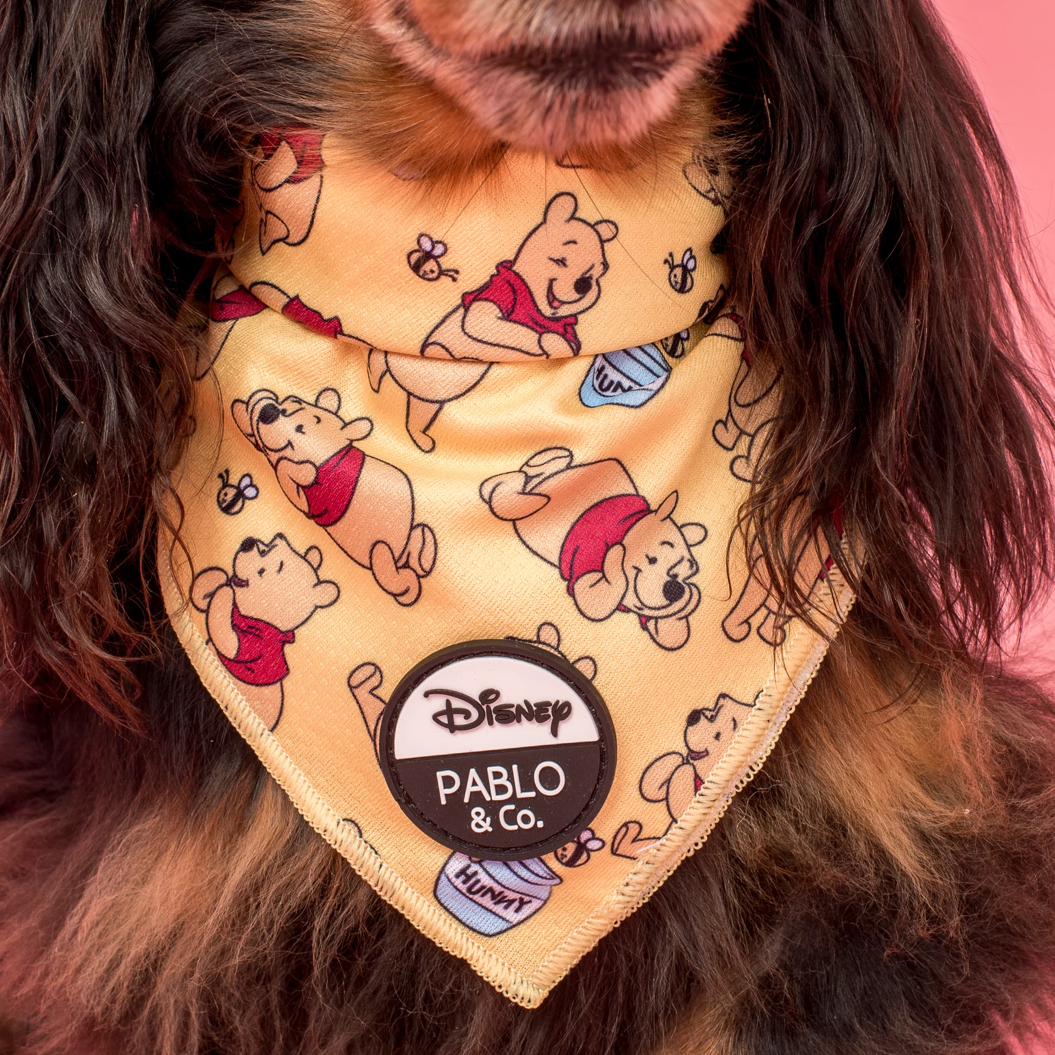Winnie the Pooh & Bee's: Dog Bandana - Image 2