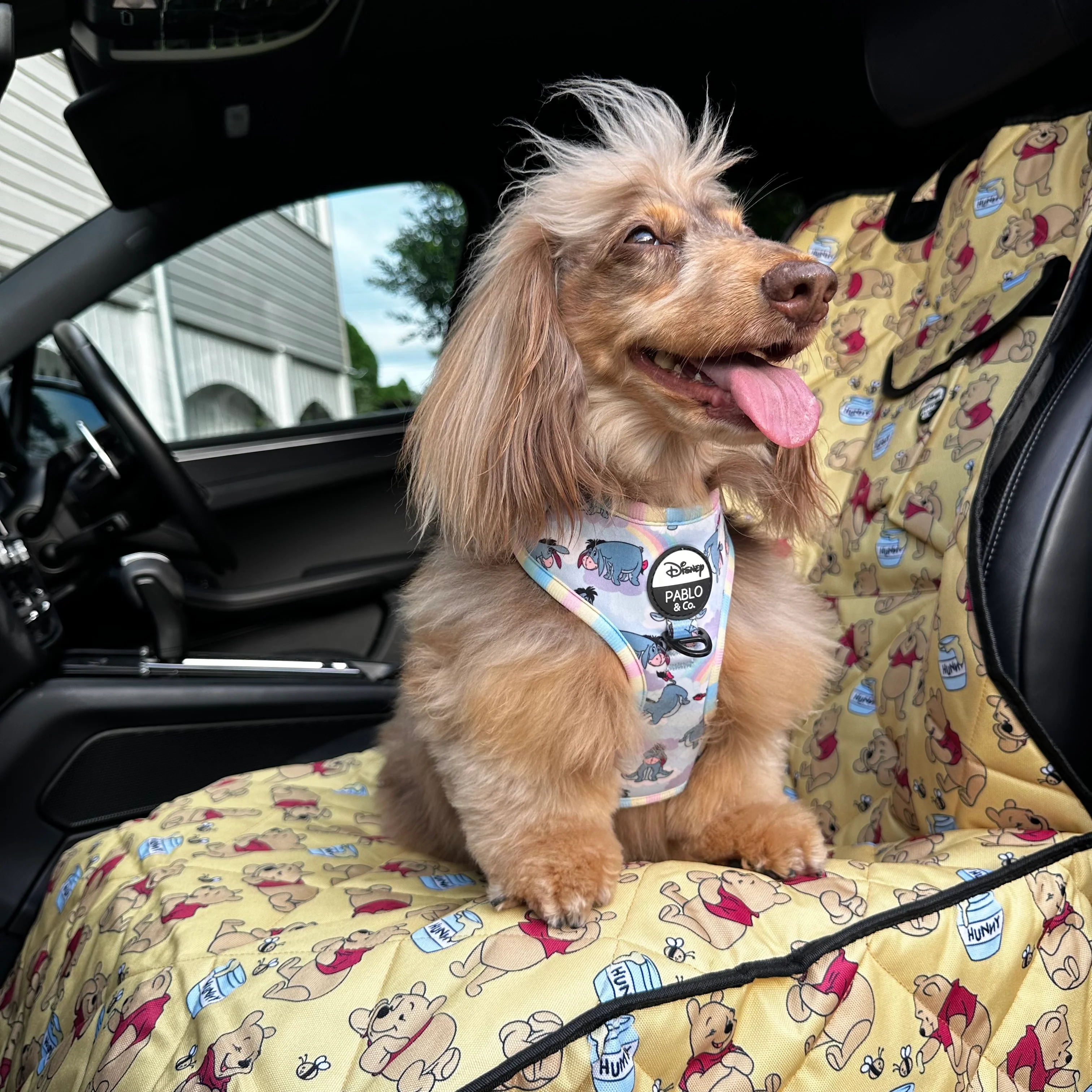Winnie the Pooh & Bee's: Single Car Seat Cover