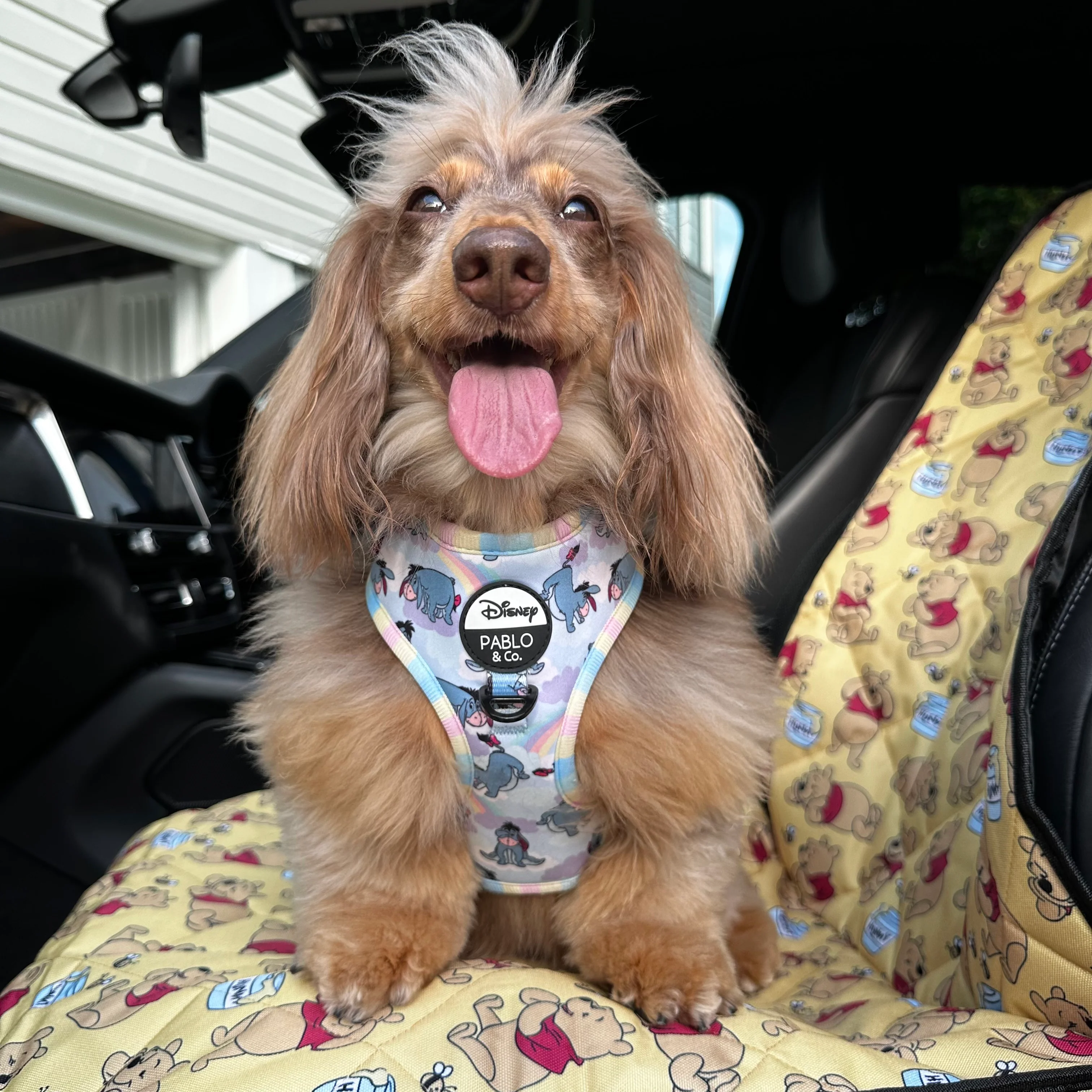 Winnie the Pooh & Bee's: Single Car Seat Cover - Image 3