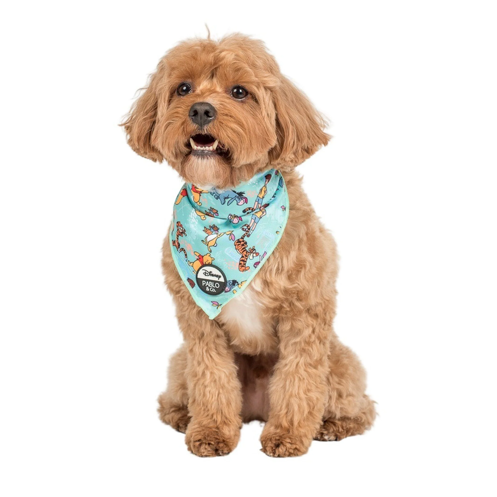 Winnie the Pooh & Forest Friends: Dog Bandana