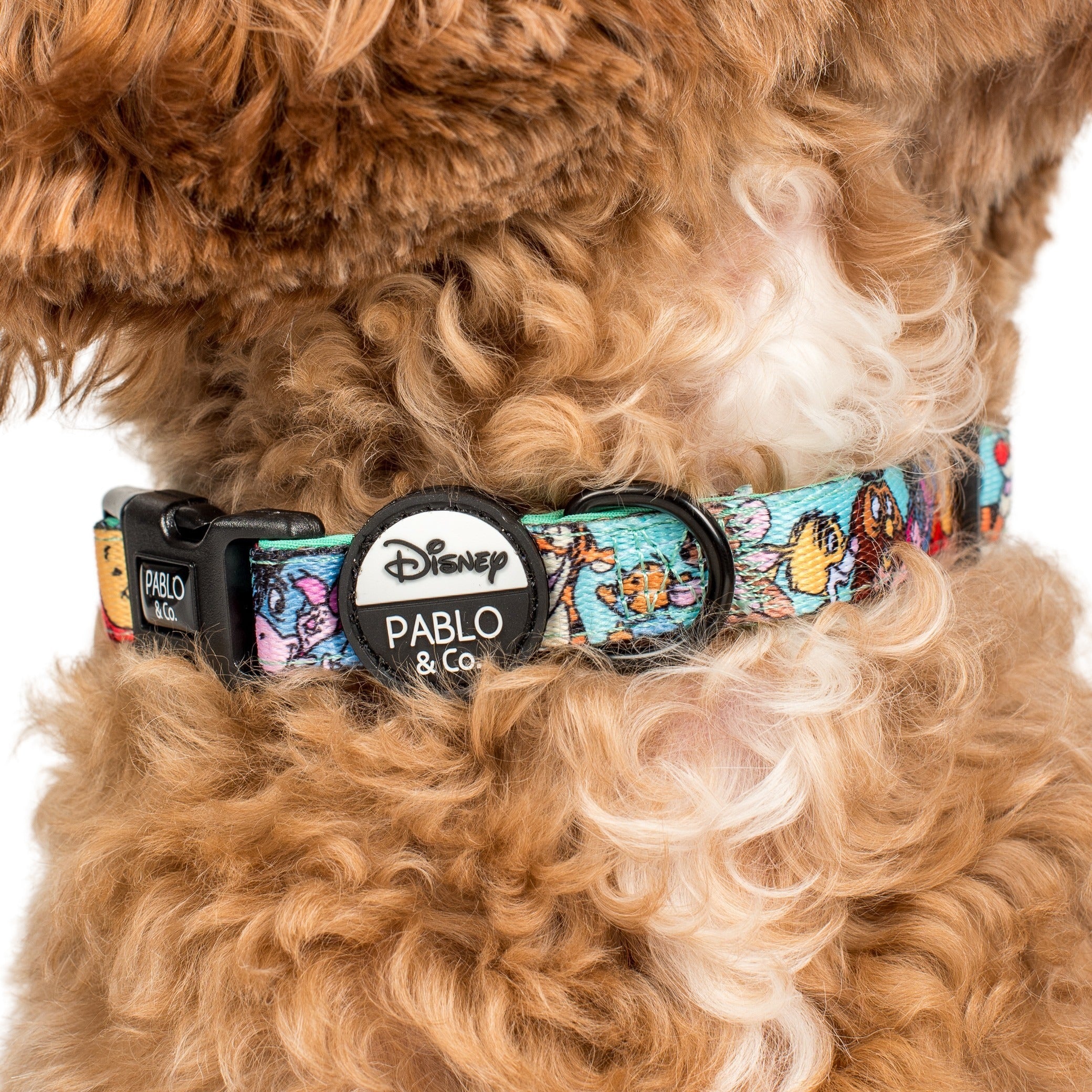 Winnie the Pooh & Forest Friends: Dog Collar