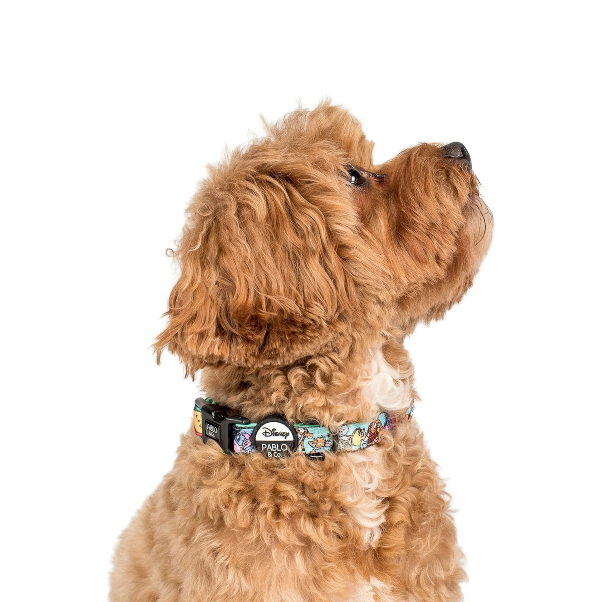 Winnie the Pooh & Forest Friends: Dog Collar - Image 3