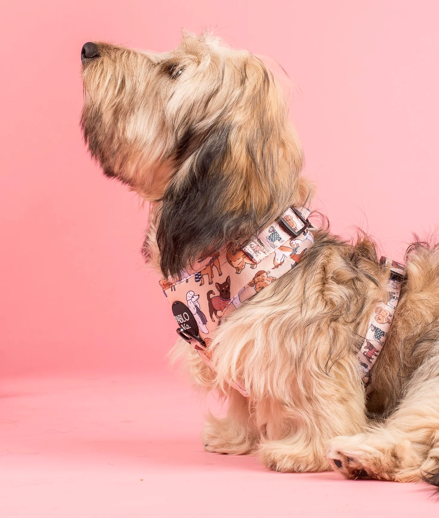 Winter Pooches: Adjustable Harness - Image 2
