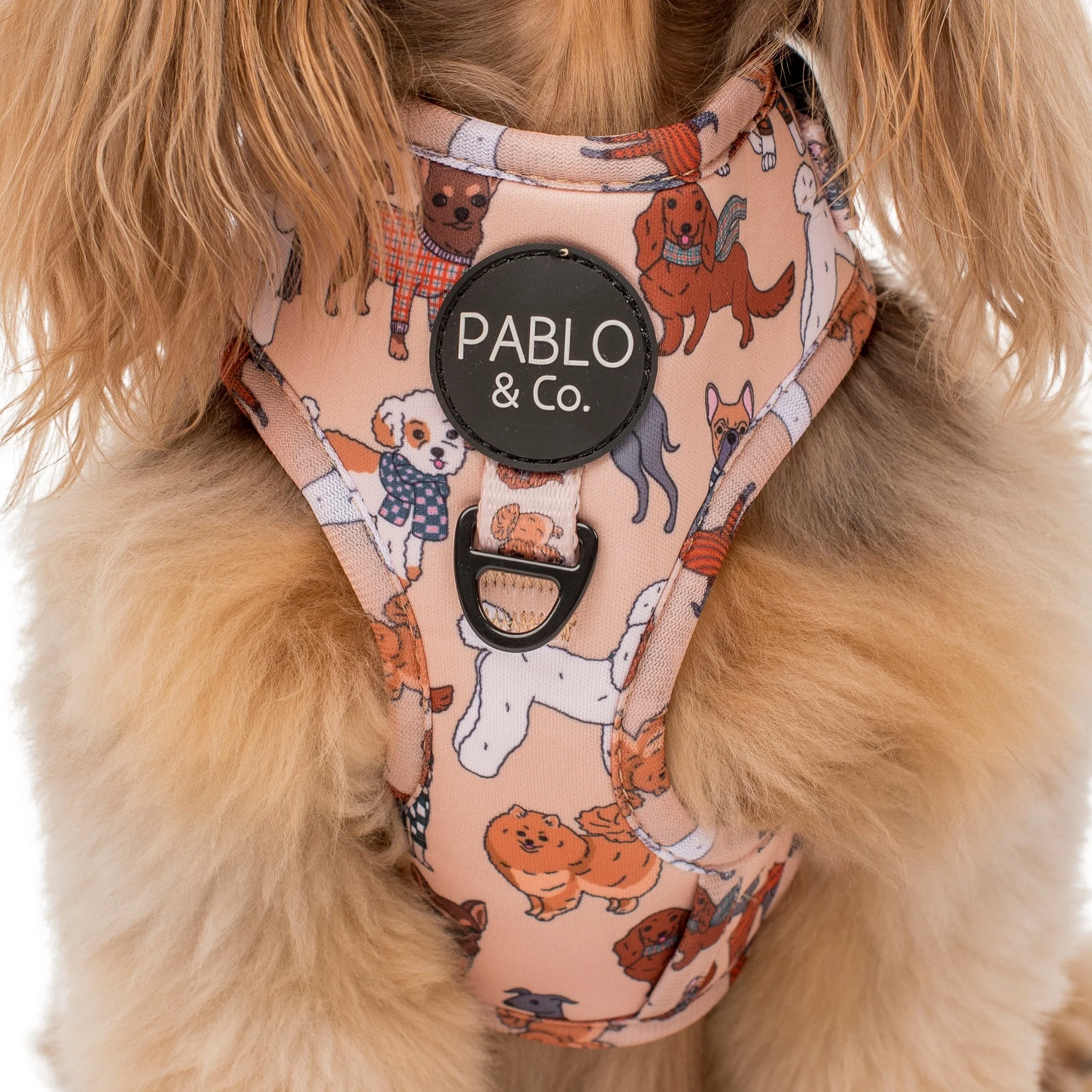 Winter Pooches: Adjustable Harness - Image 4