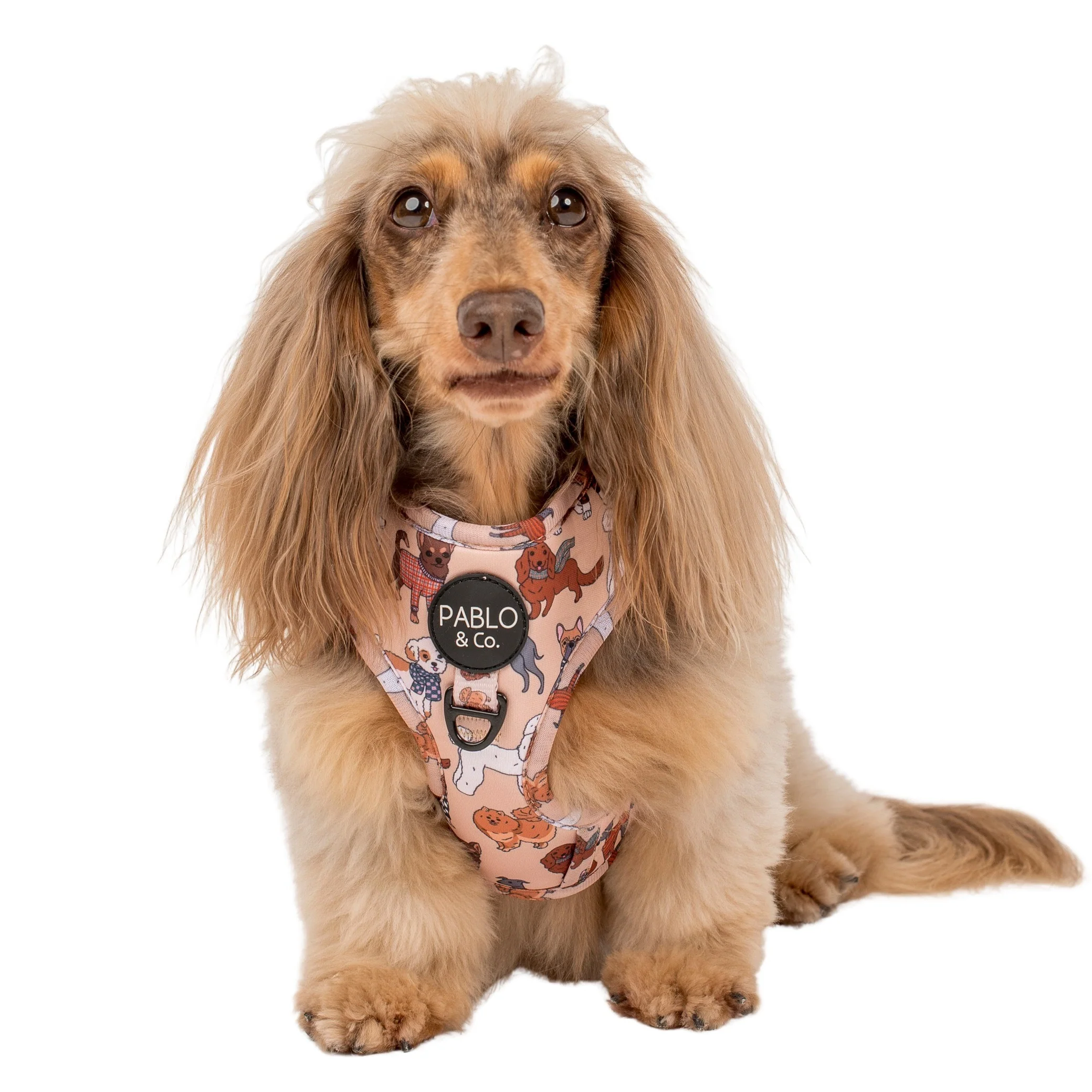 Winter Pooches: Adjustable Harness - Image 5