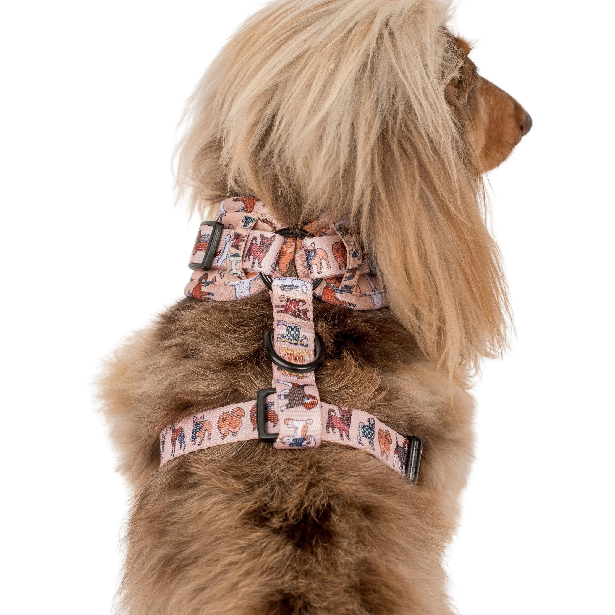 Winter Pooches: Adjustable Harness - Image 6