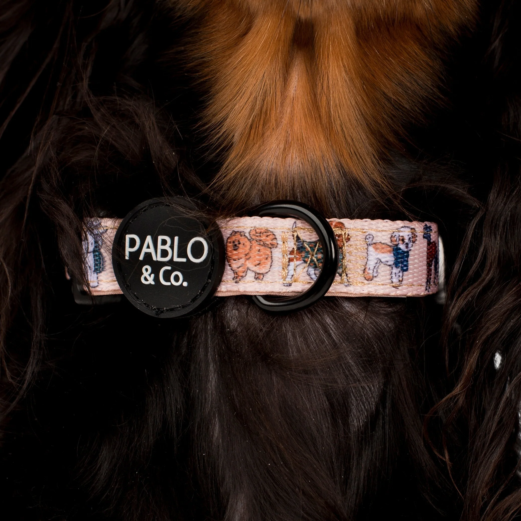 Winter Pooches: Collar - Image 3