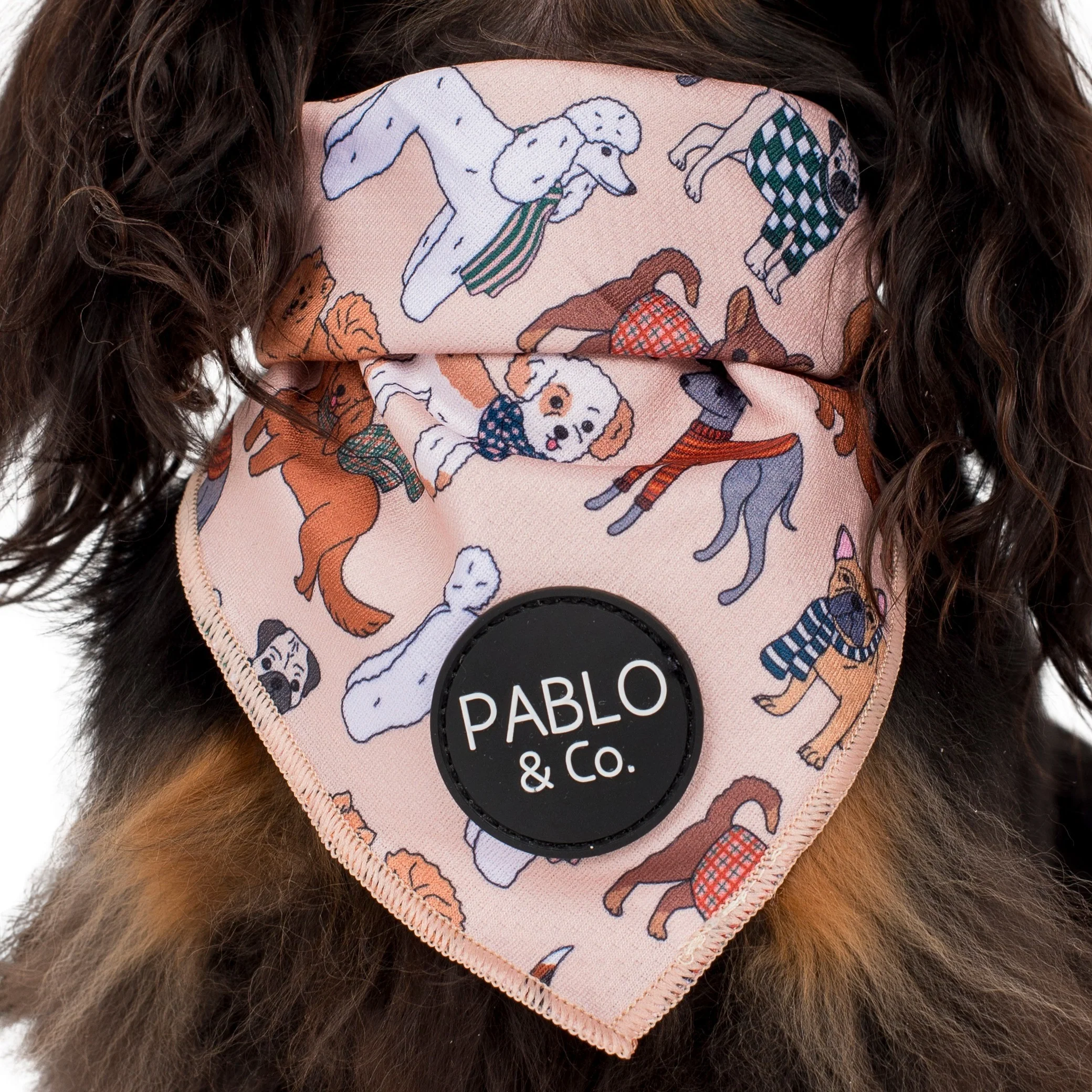 Winter Pooches - Dog Bandana - Image 2