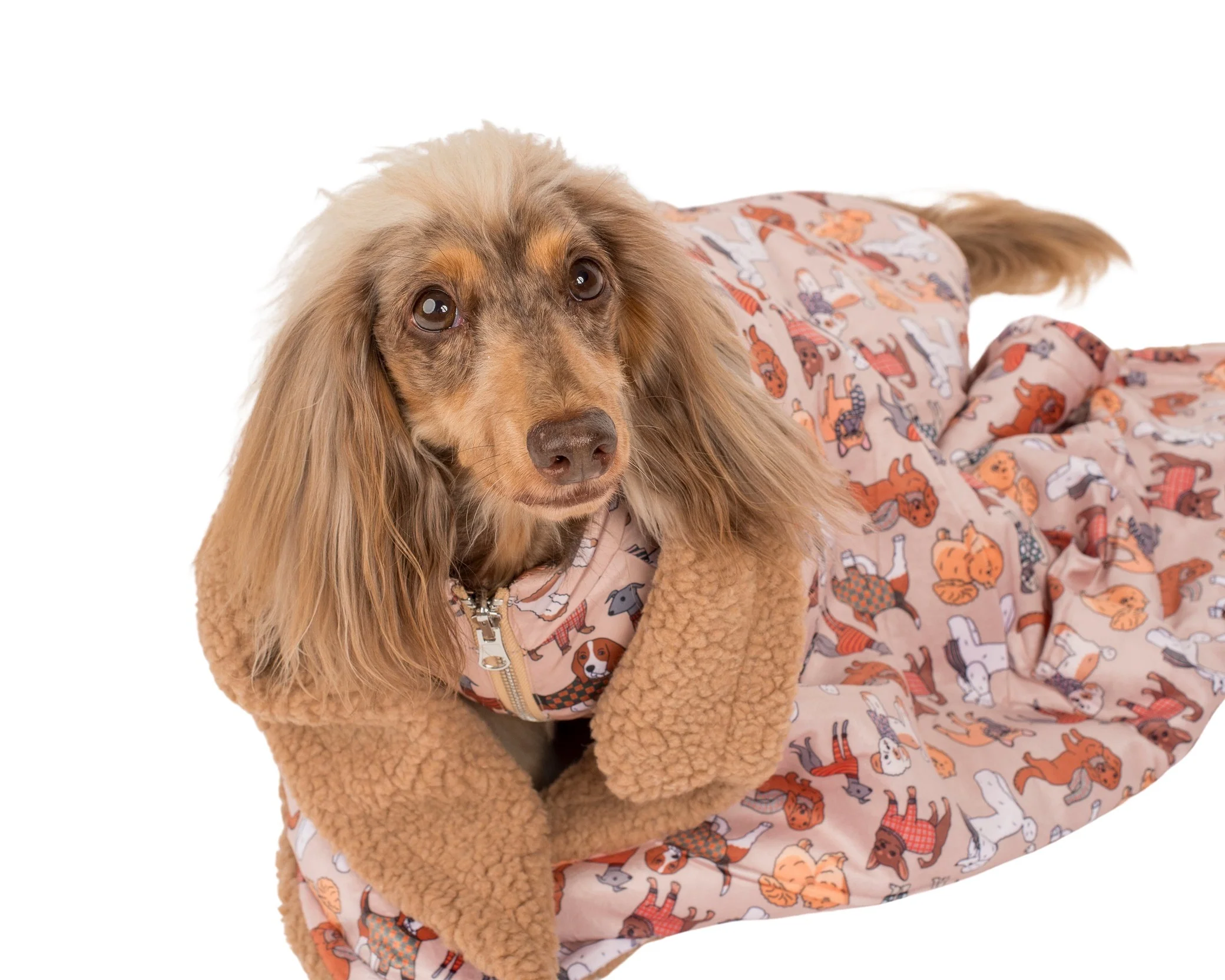 Winter Pooches: Dog Blanket - Image 3
