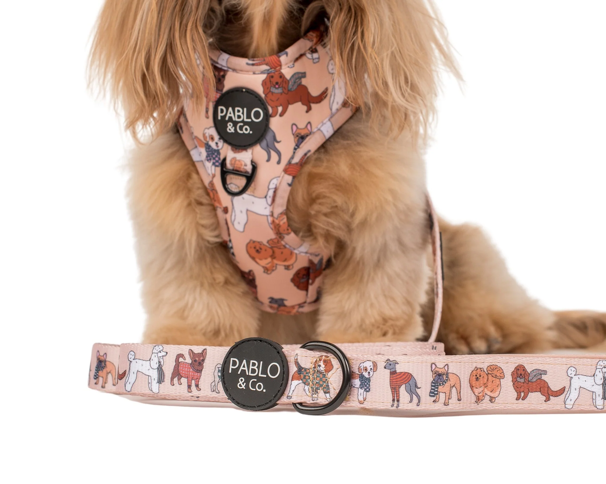 Winter Pooches: Dog Leash - Image 2