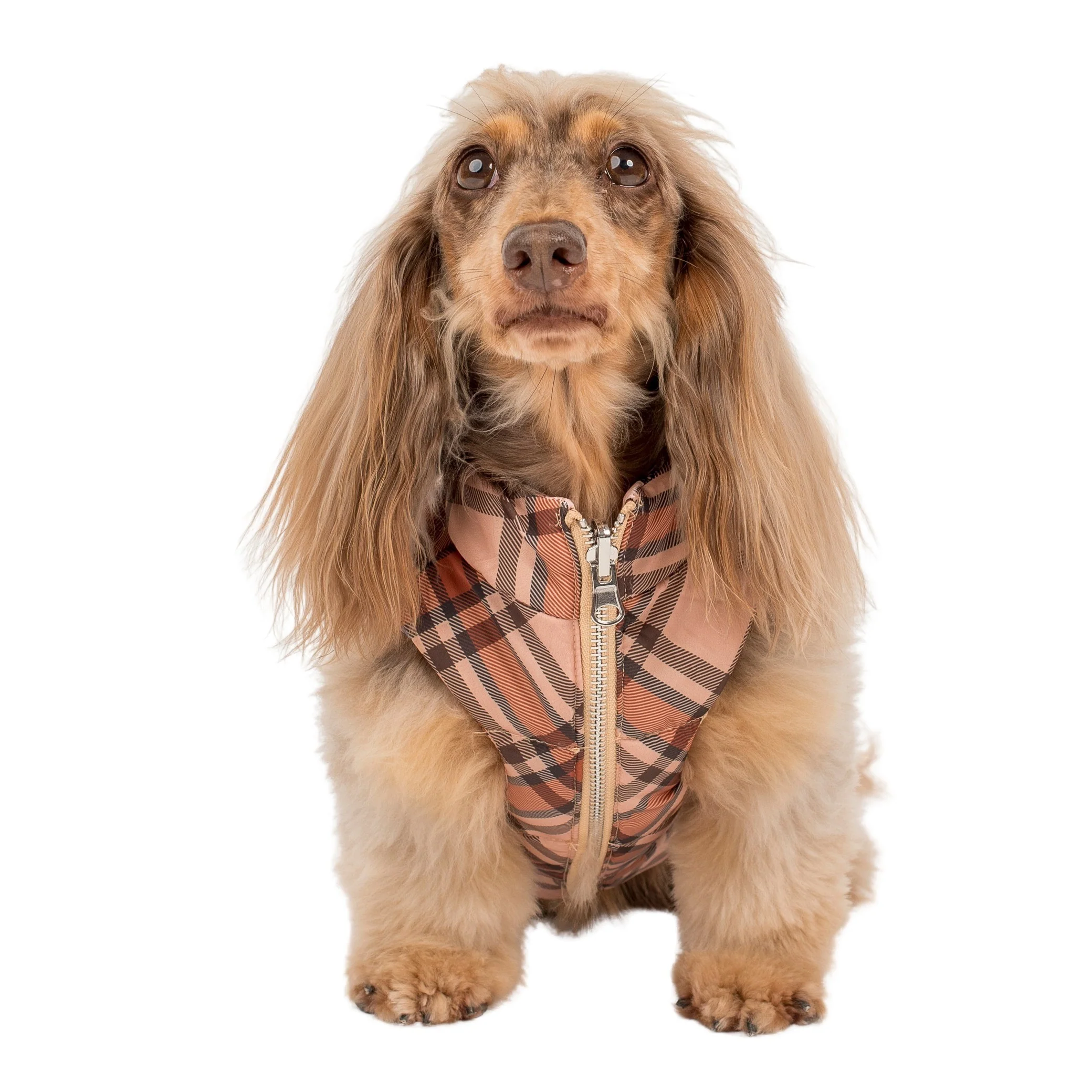 Winter Pooches / Kensington: Reversible Puffer Vest - Image 13