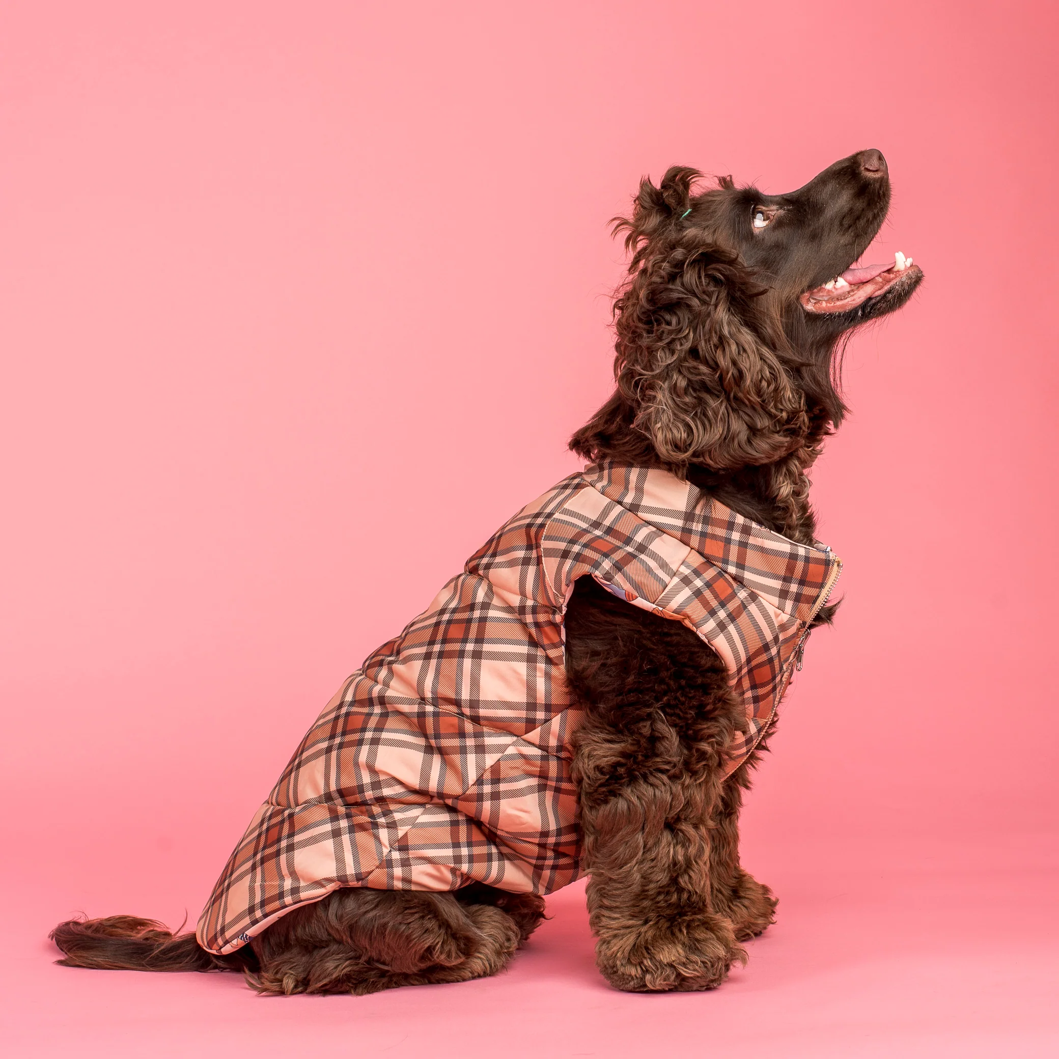 Winter Pooches / Kensington: Reversible Puffer Vest - Image 2