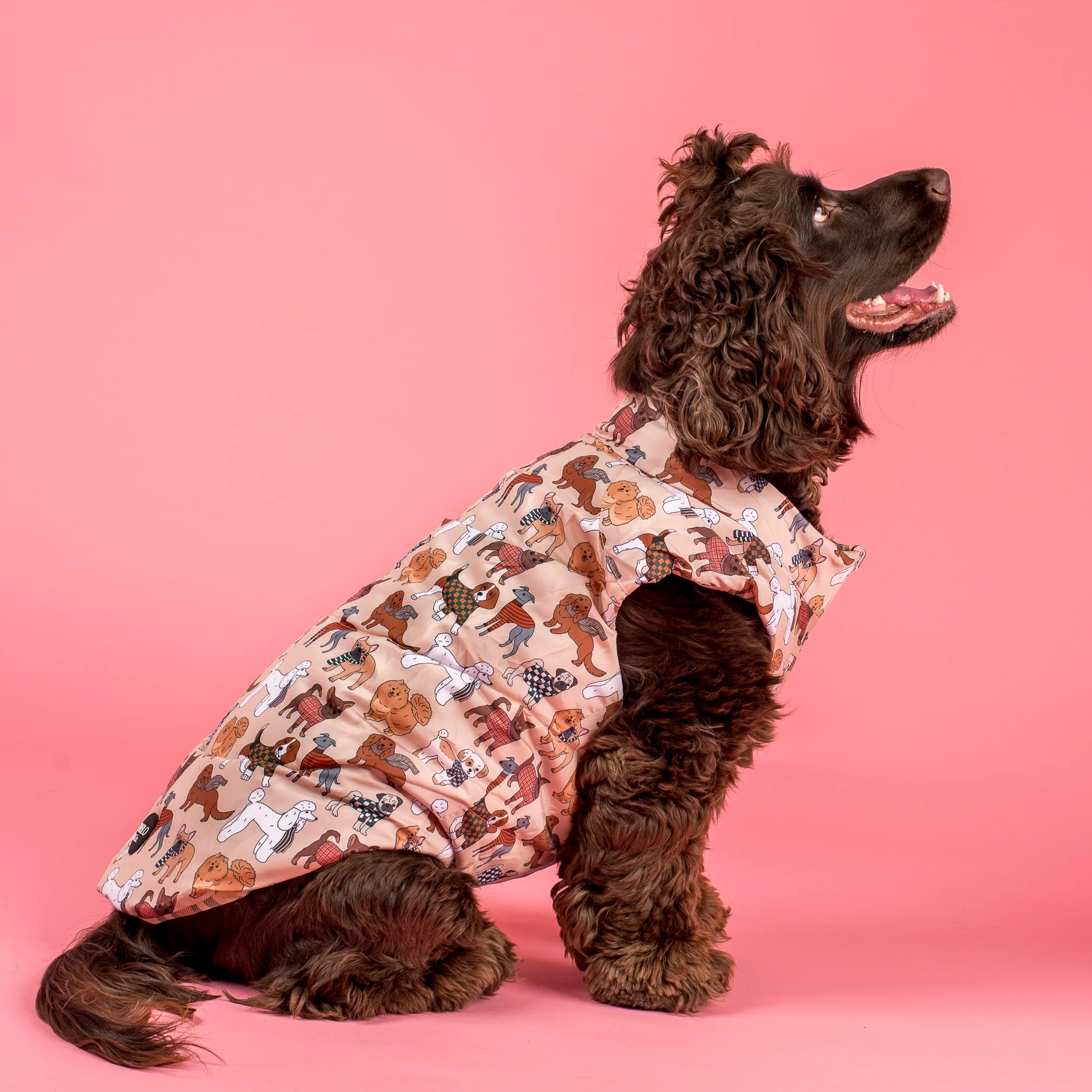 Winter Pooches / Kensington: Reversible Puffer Vest - Image 3