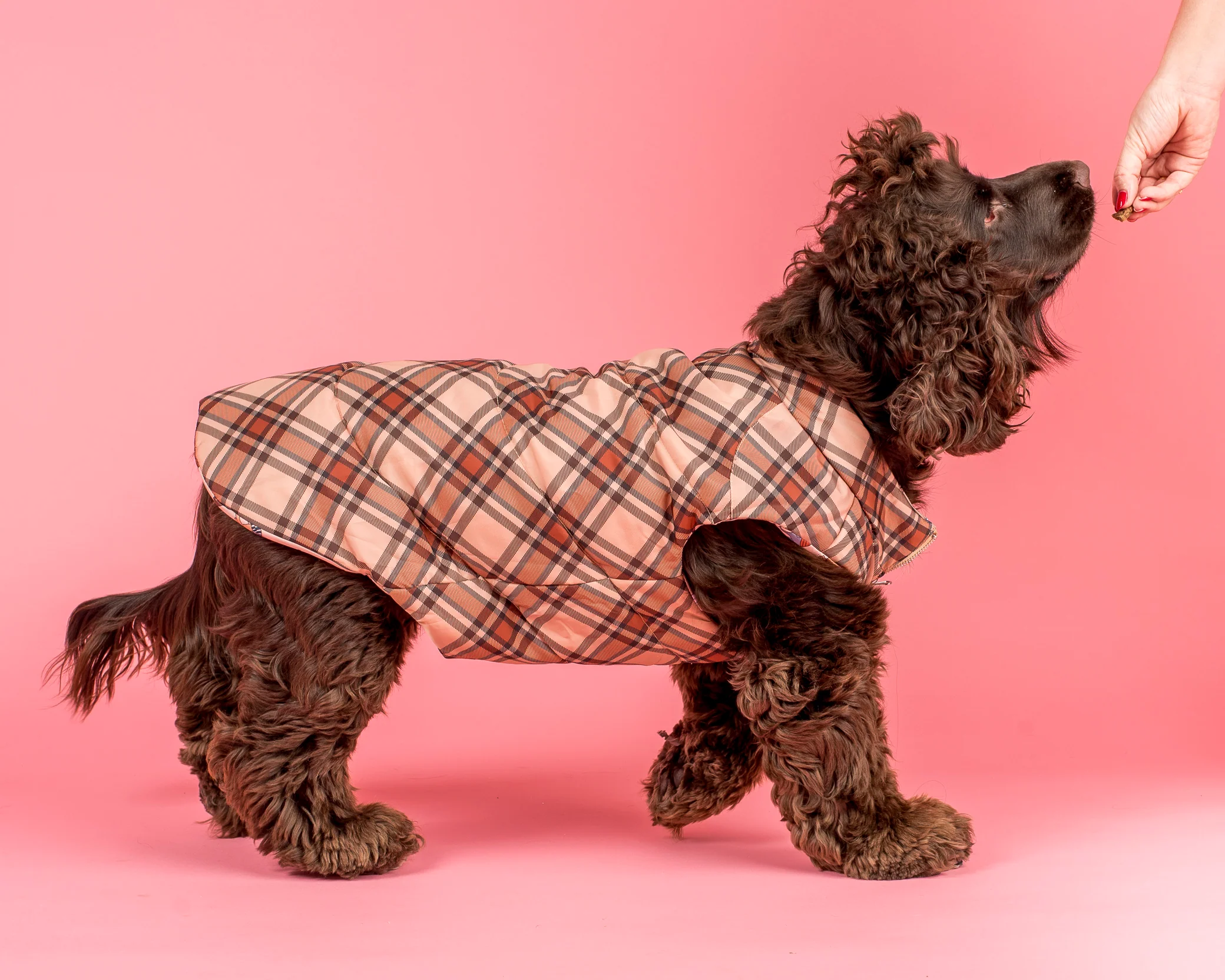 Winter Pooches / Kensington: Reversible Puffer Vest - Image 4