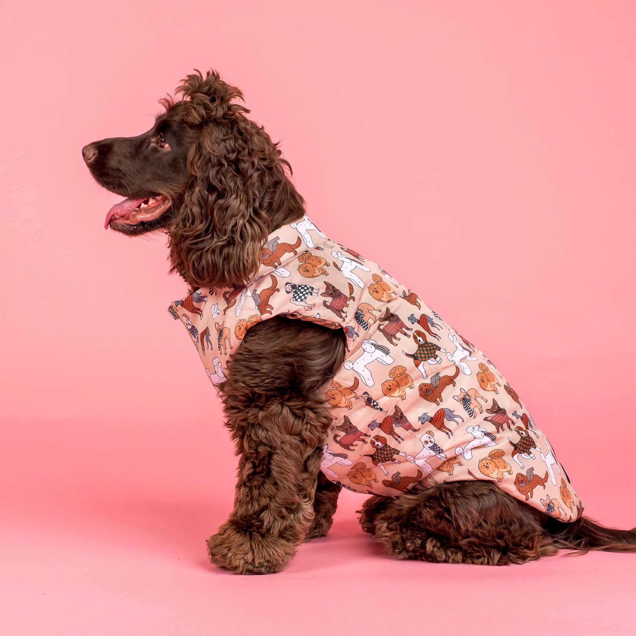 Winter Pooches / Kensington: Reversible Puffer Vest - Image 5
