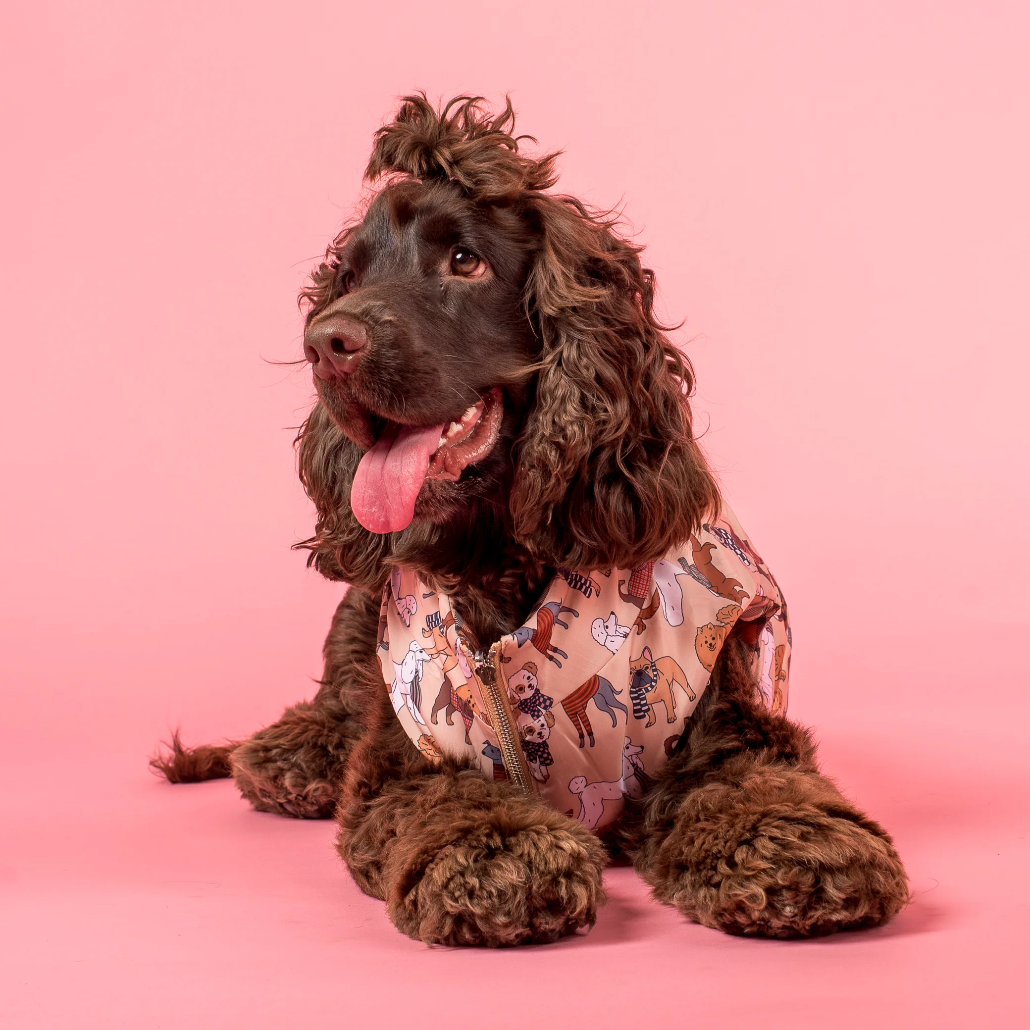 Winter Pooches / Kensington: Reversible Puffer Vest - Image 6