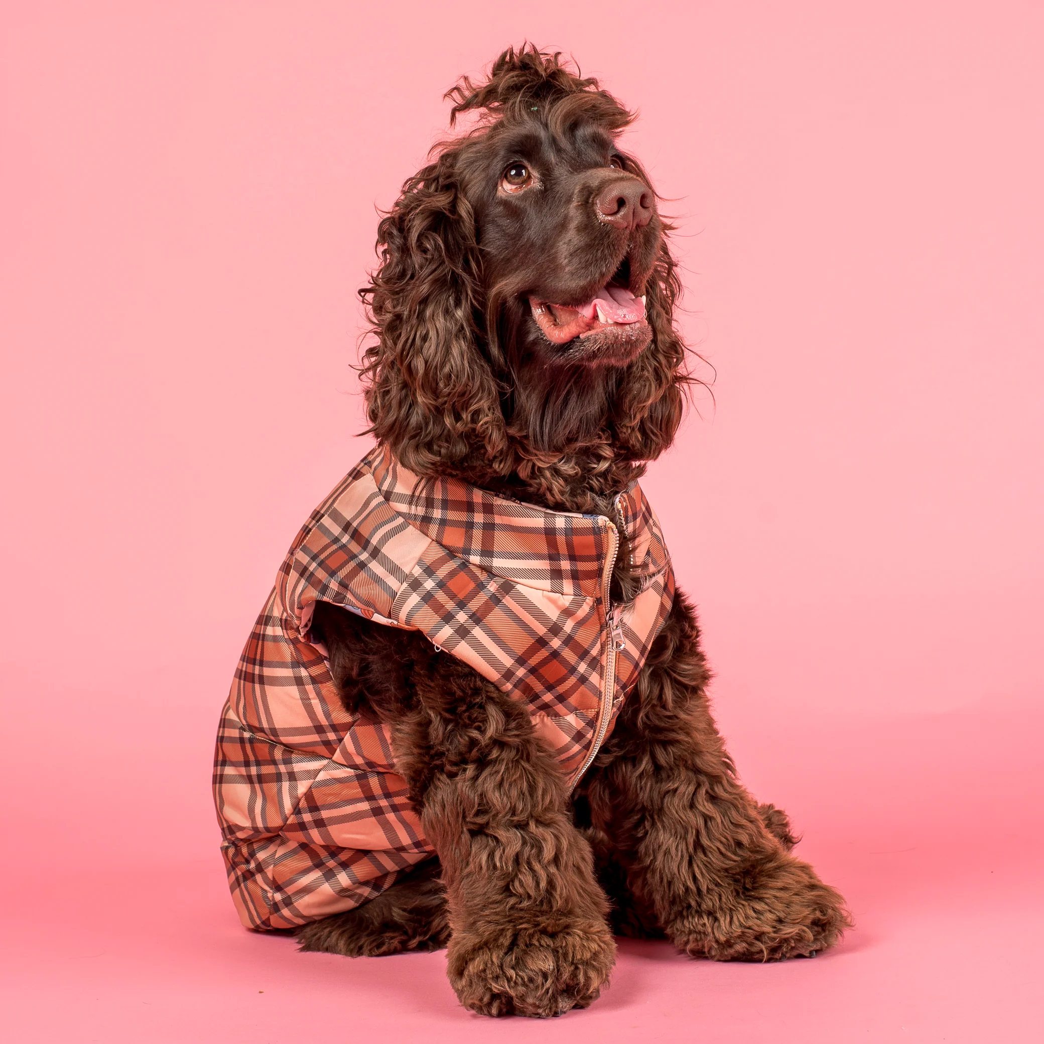 Winter Pooches / Kensington: Reversible Puffer Vest - Image 7