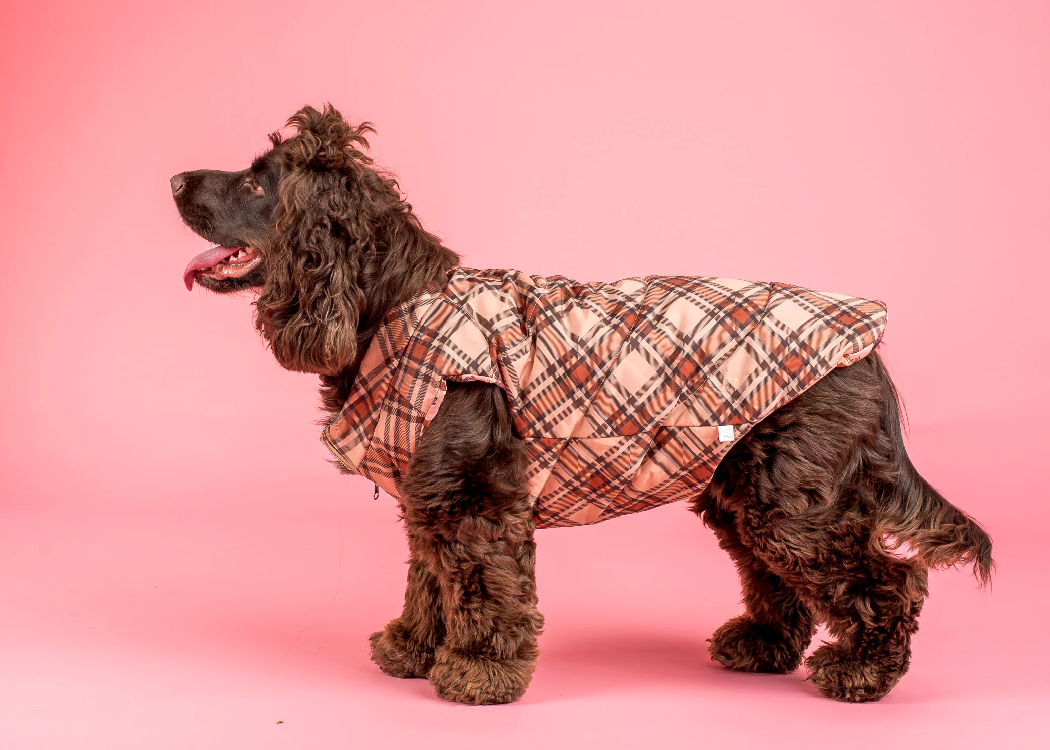 Winter Pooches / Kensington: Reversible Puffer Vest - Image 8
