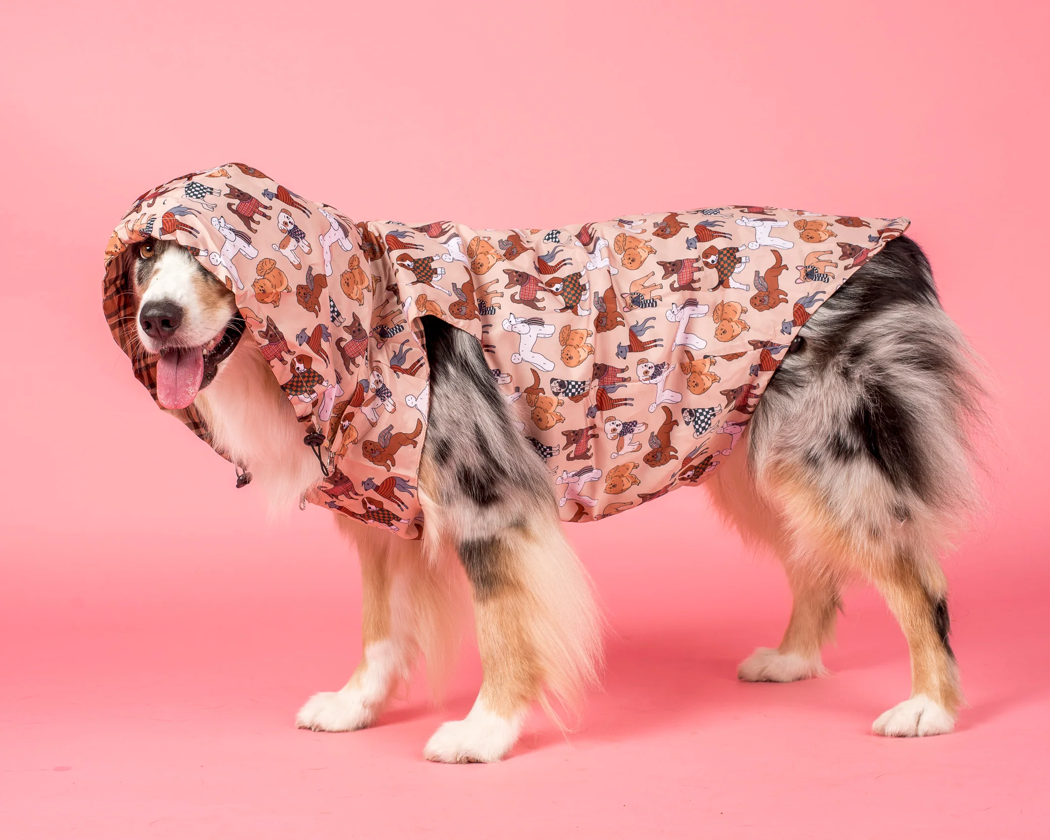 Winter Pooches / Kensington: Raincoat - Image 10