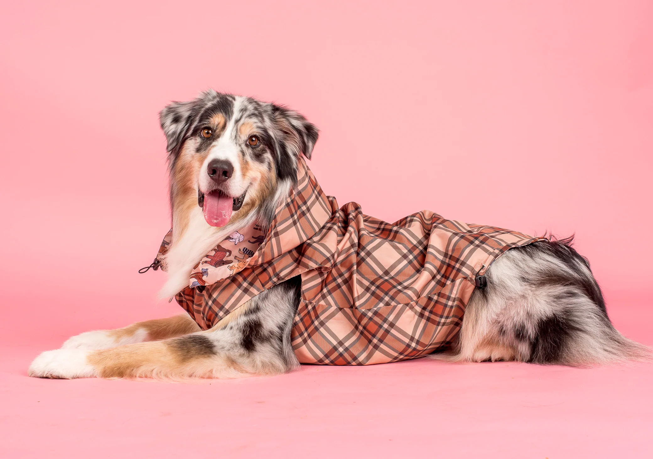 Winter Pooches / Kensington: Raincoat - Image 11