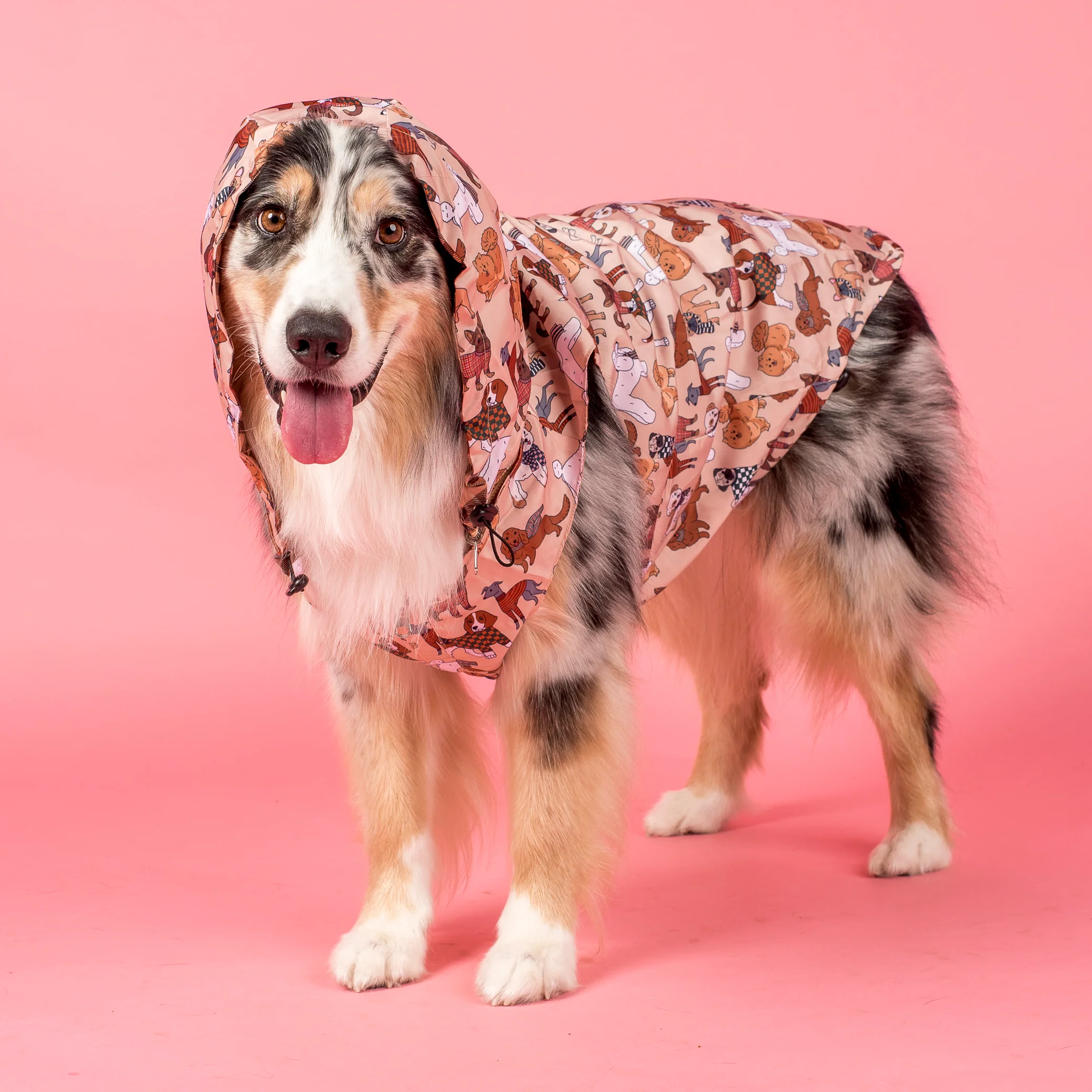 Winter Pooches / Kensington: Raincoat - Image 12